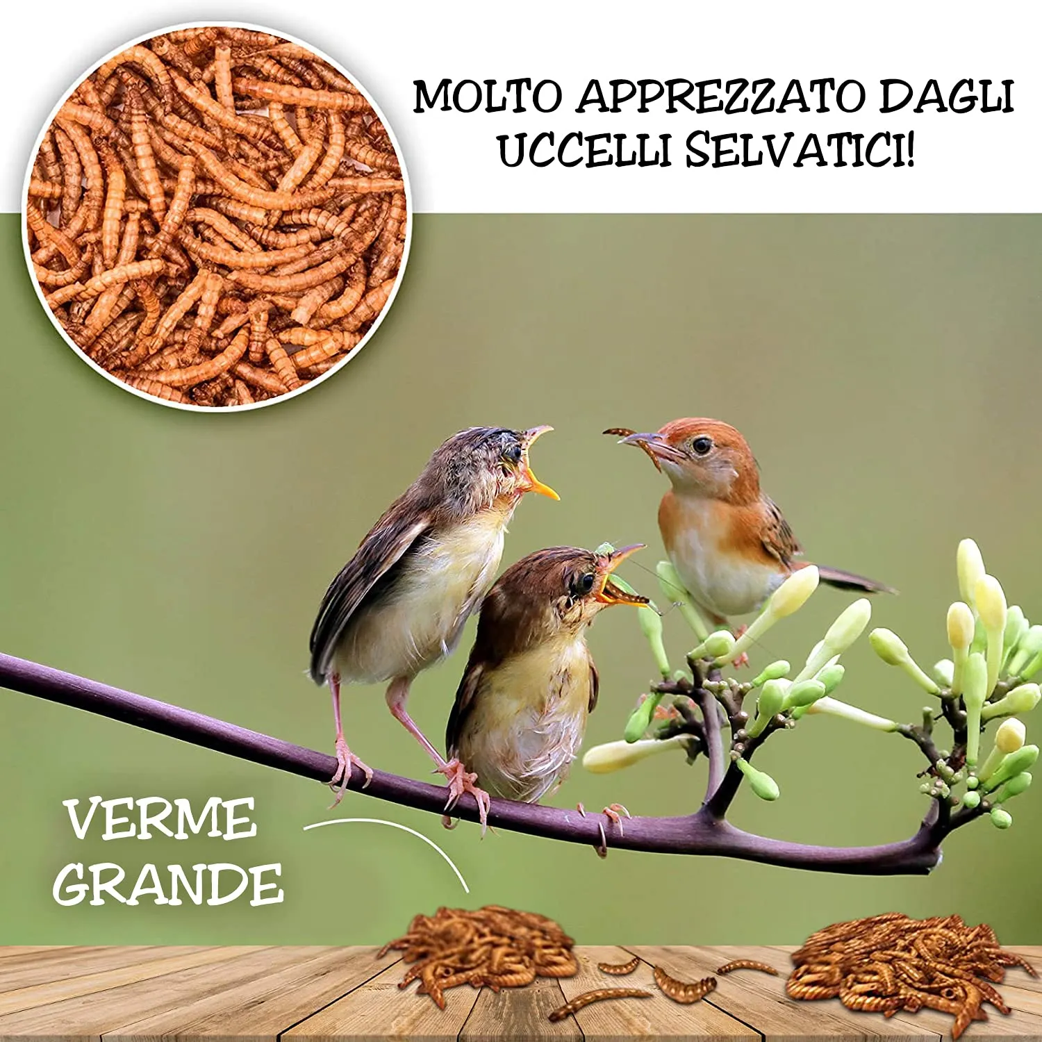 Detox Organica Camole della Farina Essiccate 860g - immagine 5