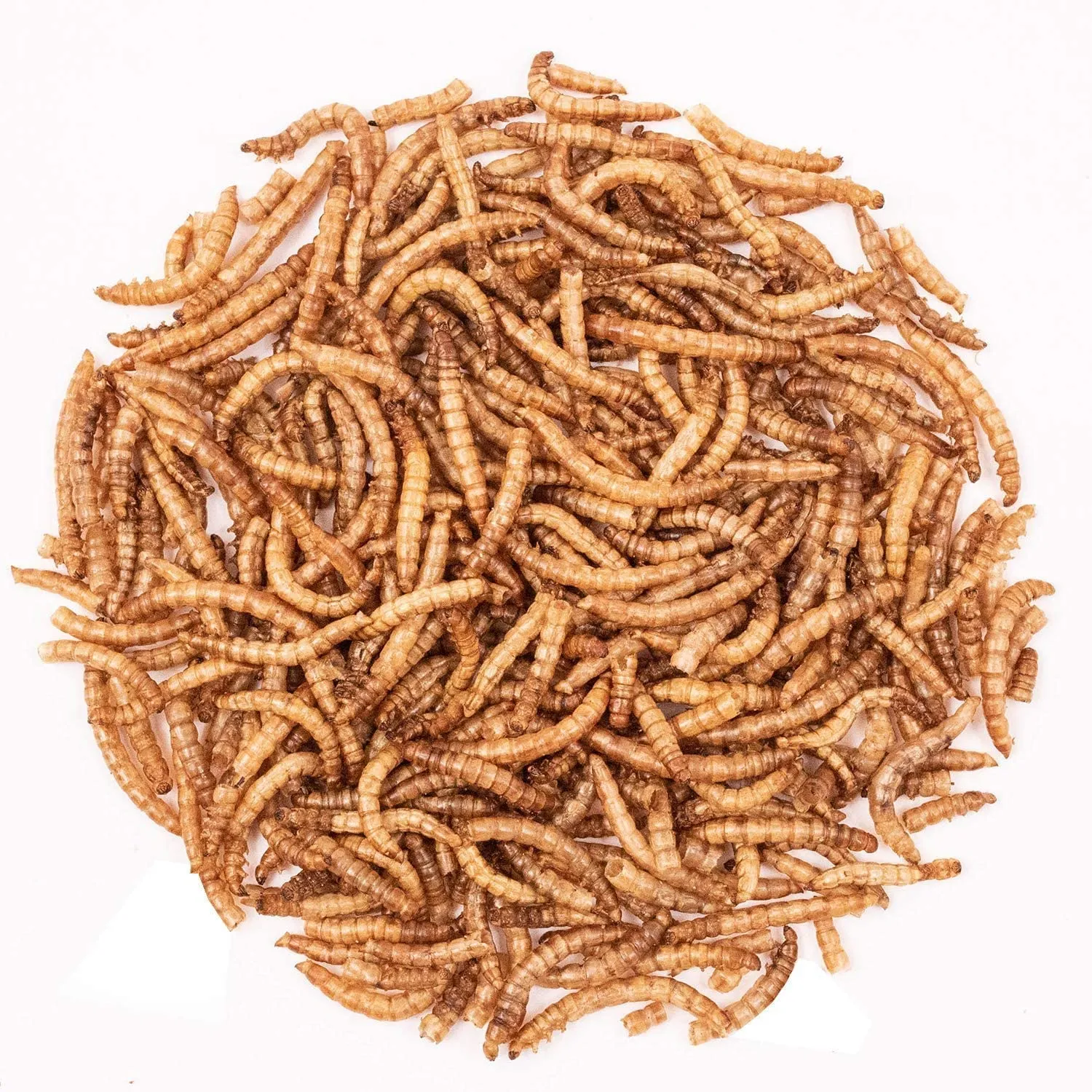 Detox Organica Camole della Farina Essiccate 860g - immagine 8
