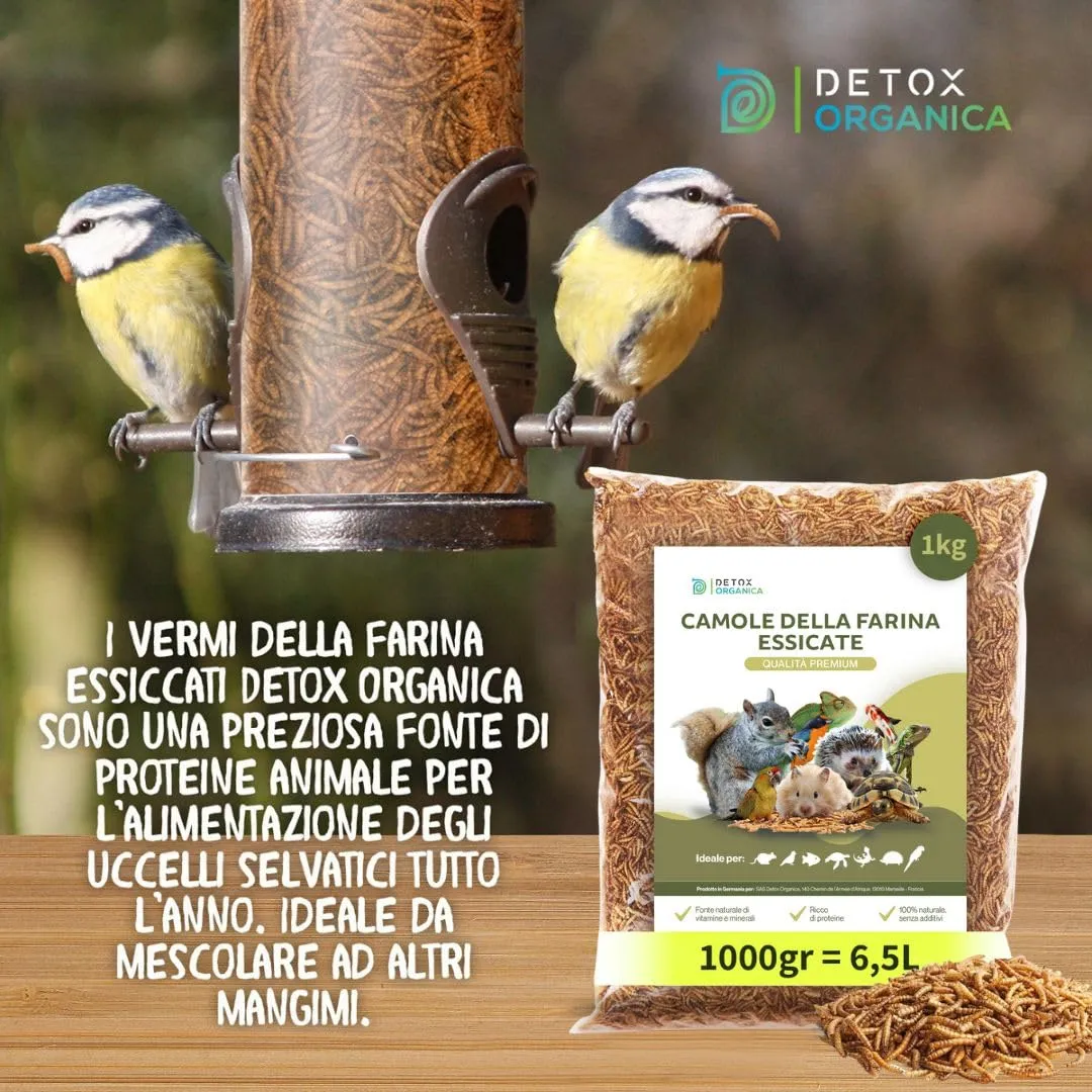 Detox Organica Camole della Farina Essiccate 1000g - immagine 5