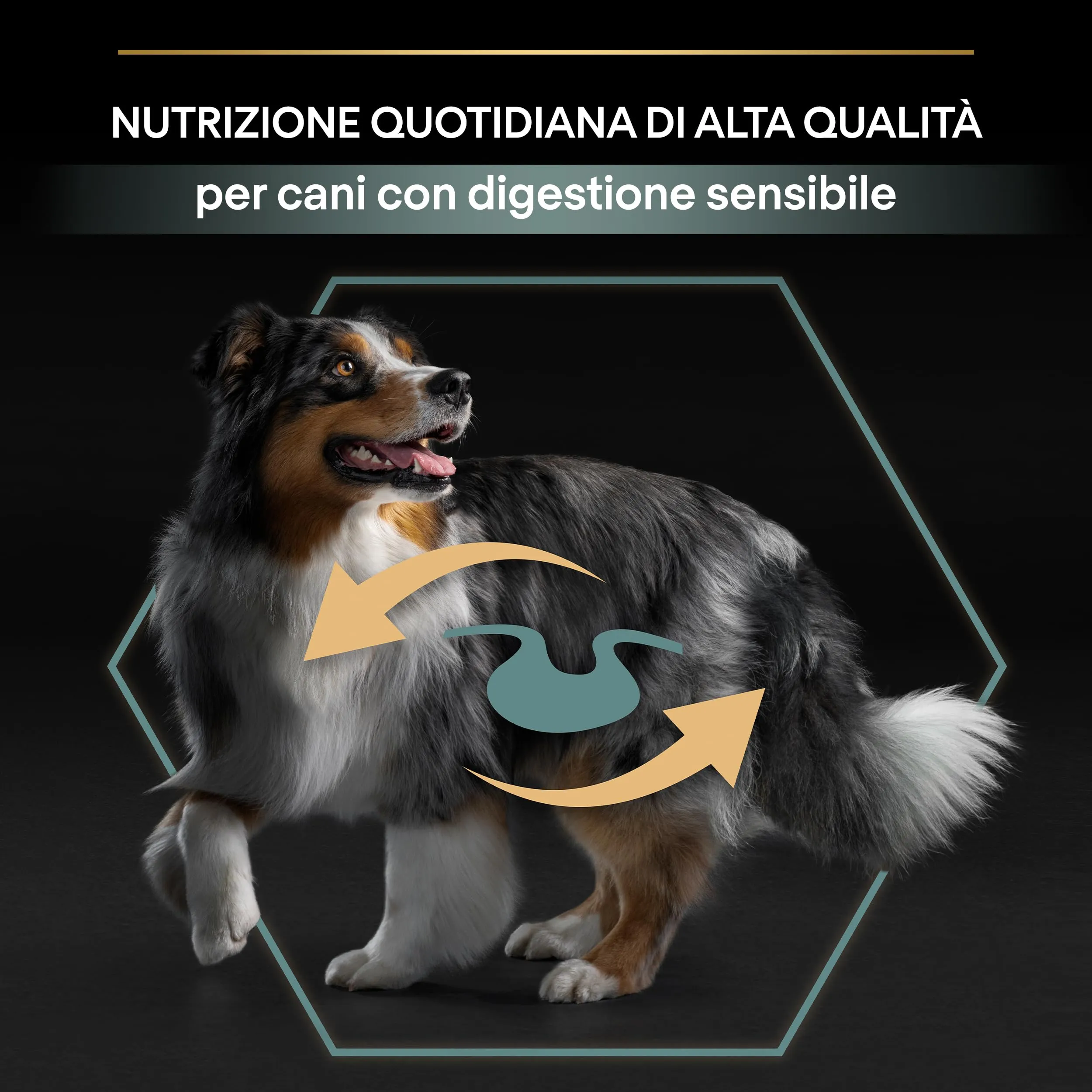Purina Pro Plan Adult Medium Sensitive Digestion, 14 kg - immagine 2