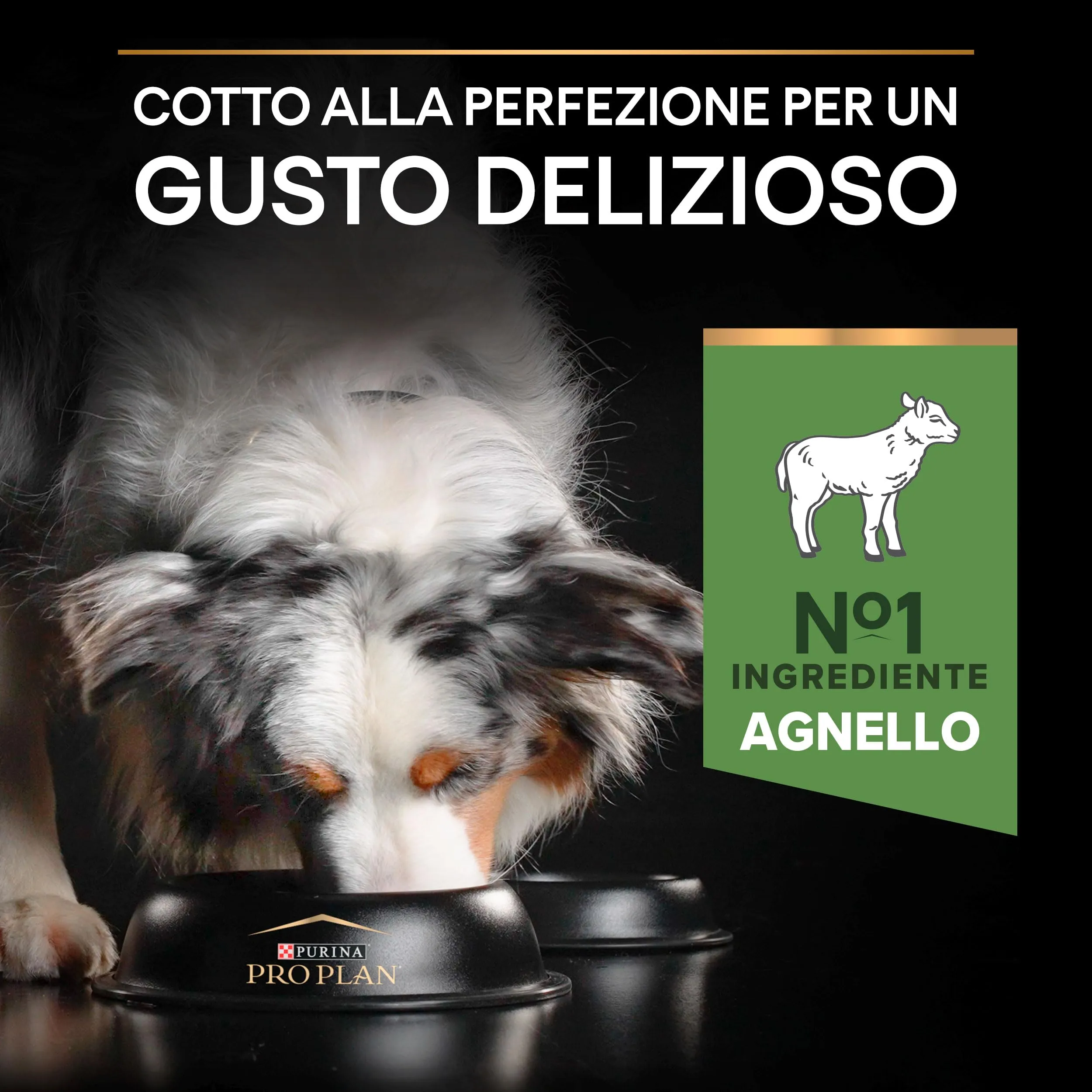 Purina Pro Plan Adult Medium Sensitive Digestion, 14 kg - immagine 5