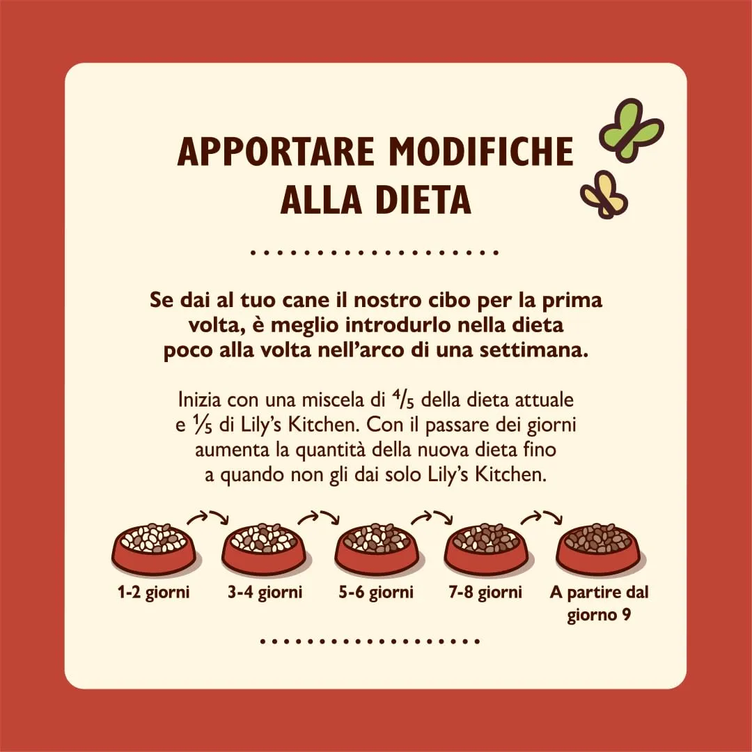 Lily's Kitchen Cibo Umido Naturale per Cani Adulti, Ricetta Senza Cereali, Confezione Assortita (12 x 400g) - immagine 6