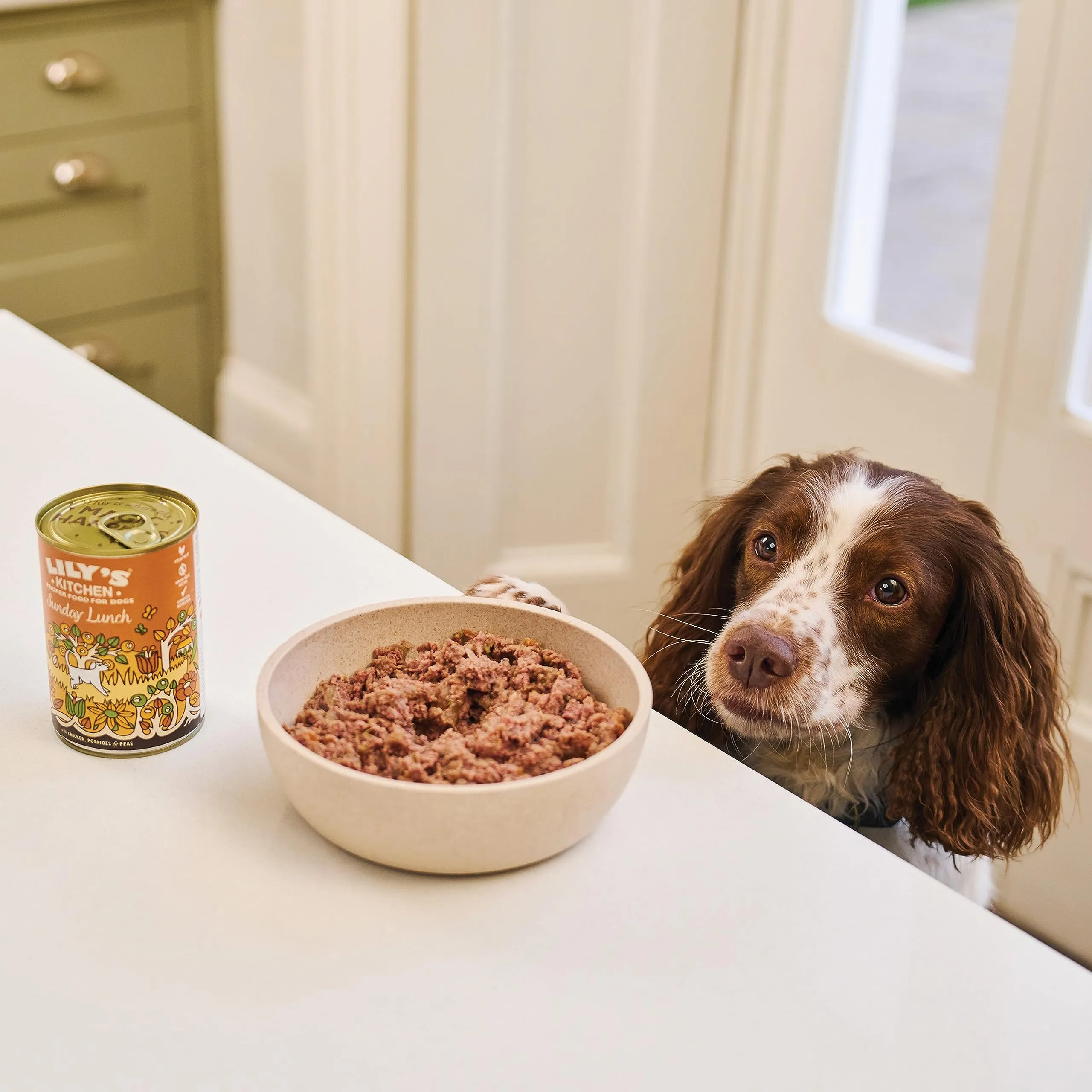 Lily's Kitchen Cibo umido per cani senza cereali, Multipack 6 x 150g - immagine 5