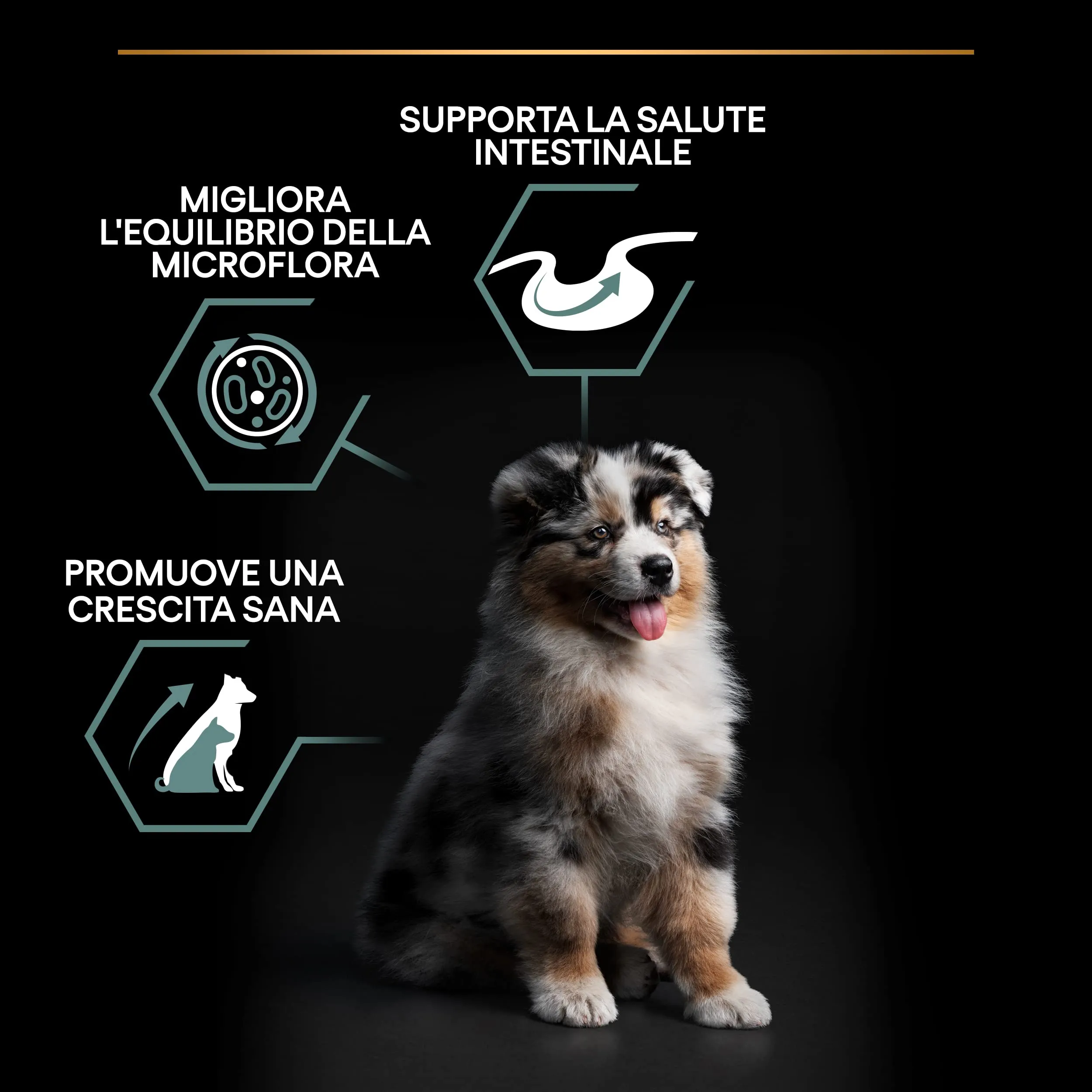Purina Pro Plan Sensitive Digestion Crocchette per Cani Puppy 12kg - immagine 3