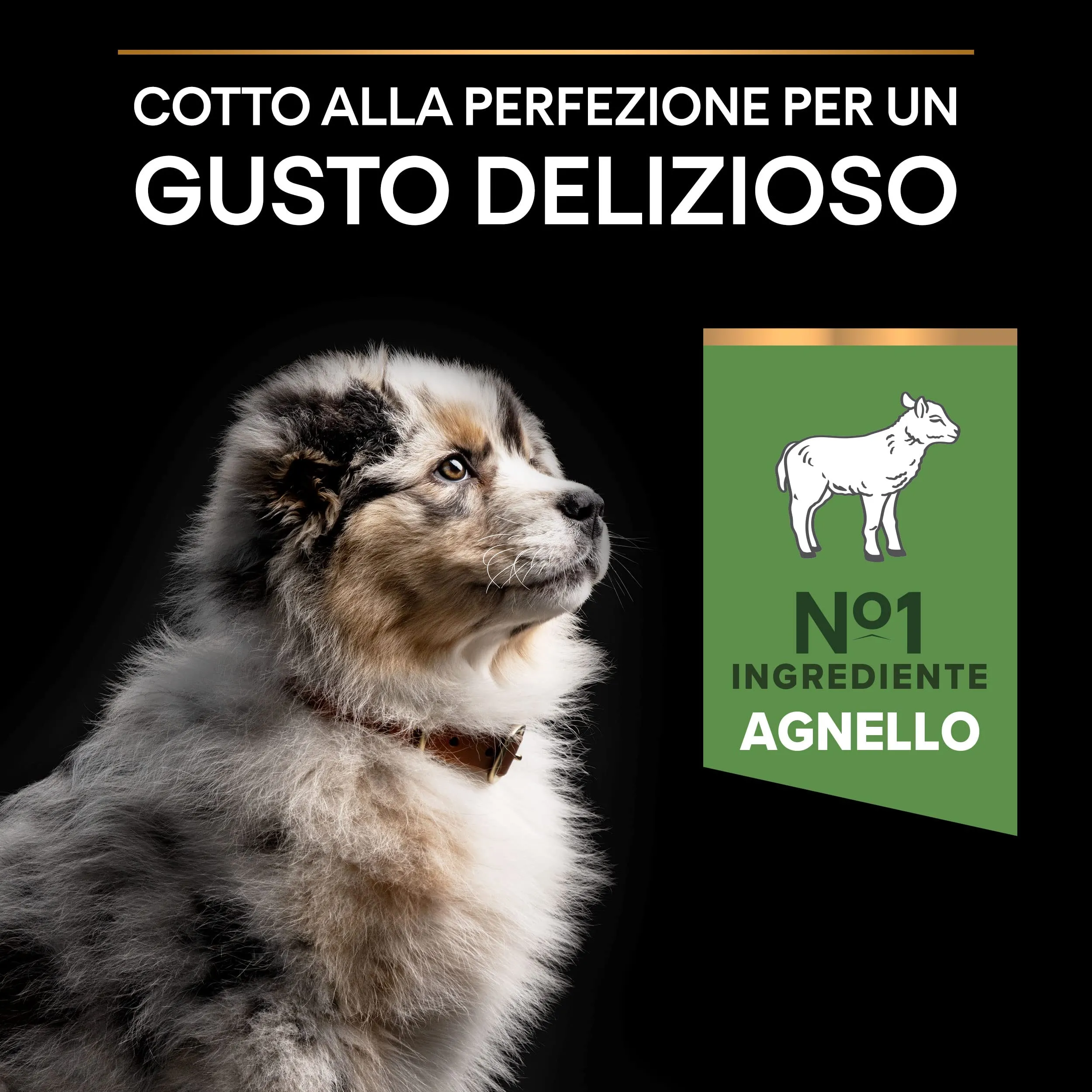 Purina Pro Plan Sensitive Digestion Crocchette per Cani Puppy 12kg - immagine 5