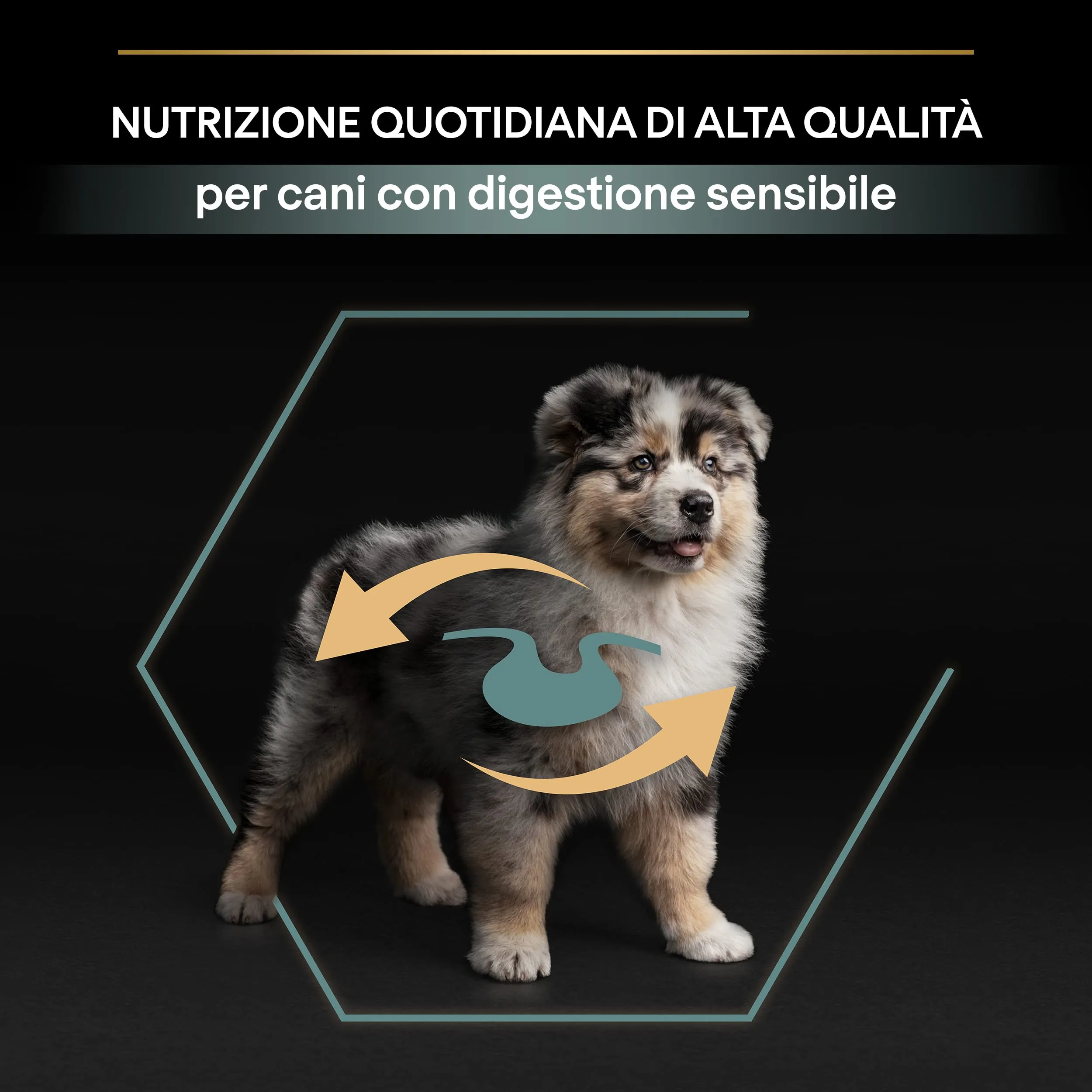 Purina Pro Plan Sensitive Digestion Crocchette per Cani Puppy 12kg - immagine 7