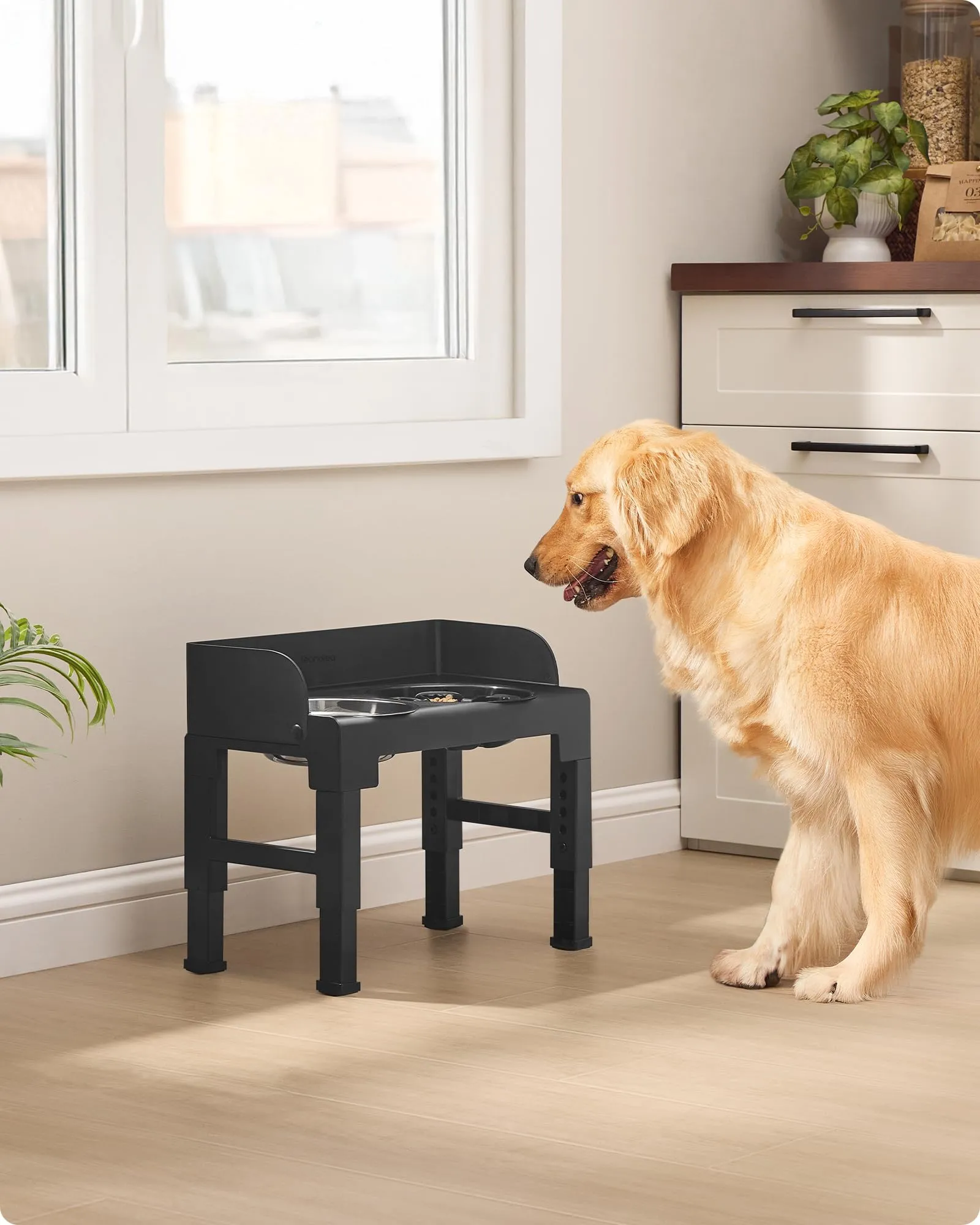 Feandrea Ciotole Rialzate per Cani con Supporto Regolabile, 2 Ciotole in Acciaio Inox 304 e 1 Ciotola Slow Feeder, Nero Inchiostro PRB103B01 - immagine 2
