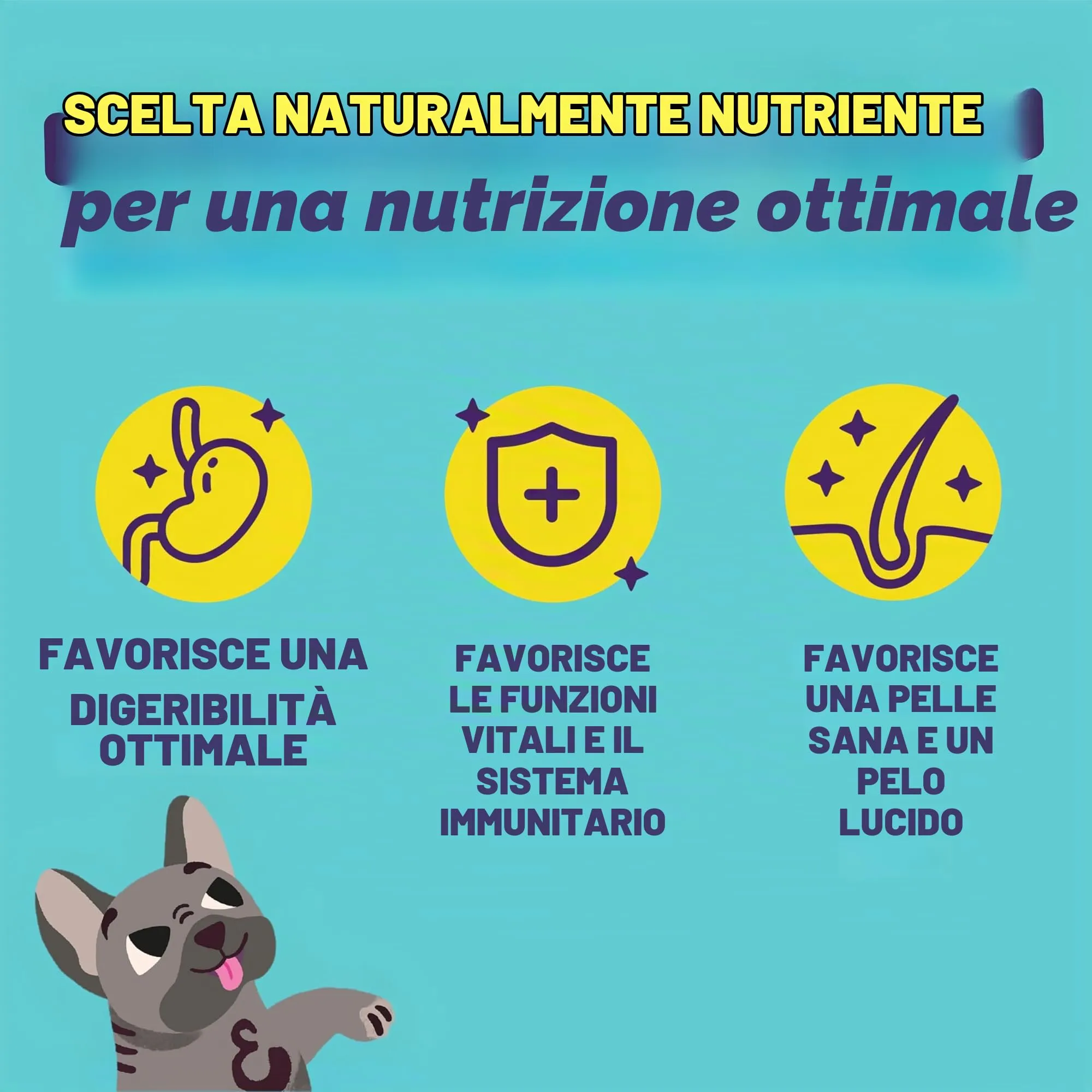 Edgard & Cooper Cibo Umido per Cani Adulti, Tacchino Bio, 100g x 17 - immagine 3