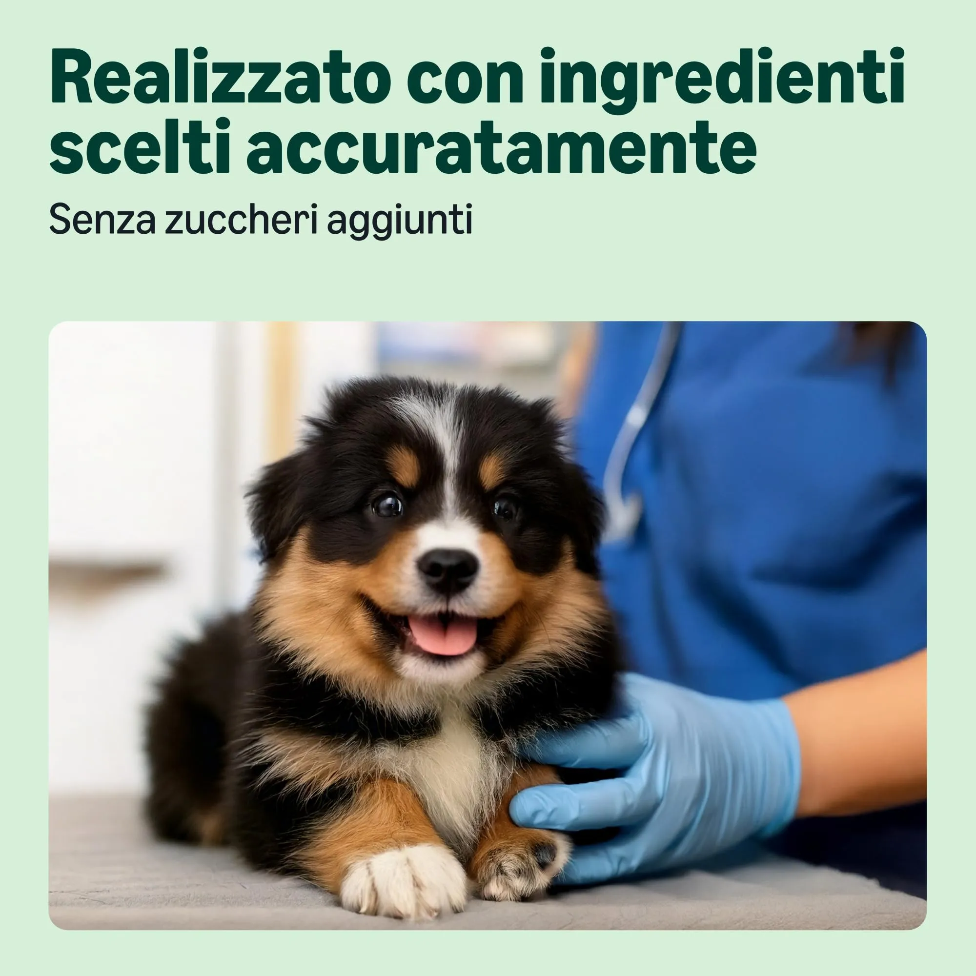 by Amazon Cibo secco completo per cani pollo e riso, 3 kg - immagine 3