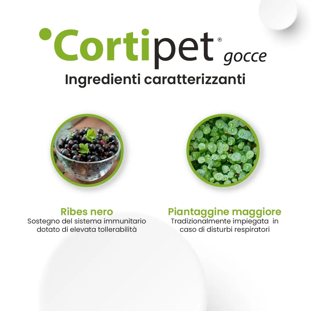 Aurora Biofarma Cortipet Gocce 100ml per Cani e Gatti - immagine 5