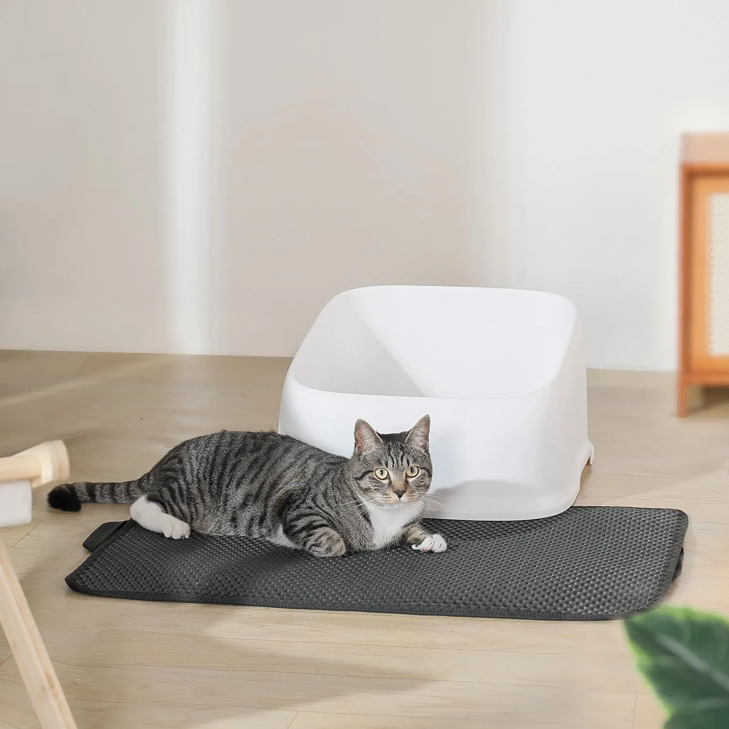 Conlun Tappetino Lettiera Gatto, Doppio Strato, Impermeabile e Antiscivolo, 60x46cm, Nero - immagine 8