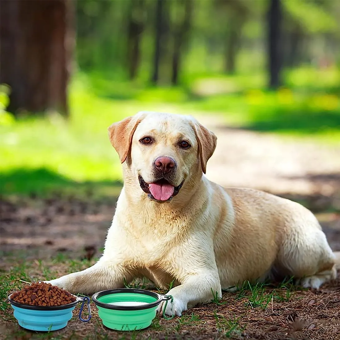 ZOKJSW Ciotole Pieghevoli per Cani e Gatti in Silicone con Coperchio e Moschettone, 2 Pezzi - immagine 6