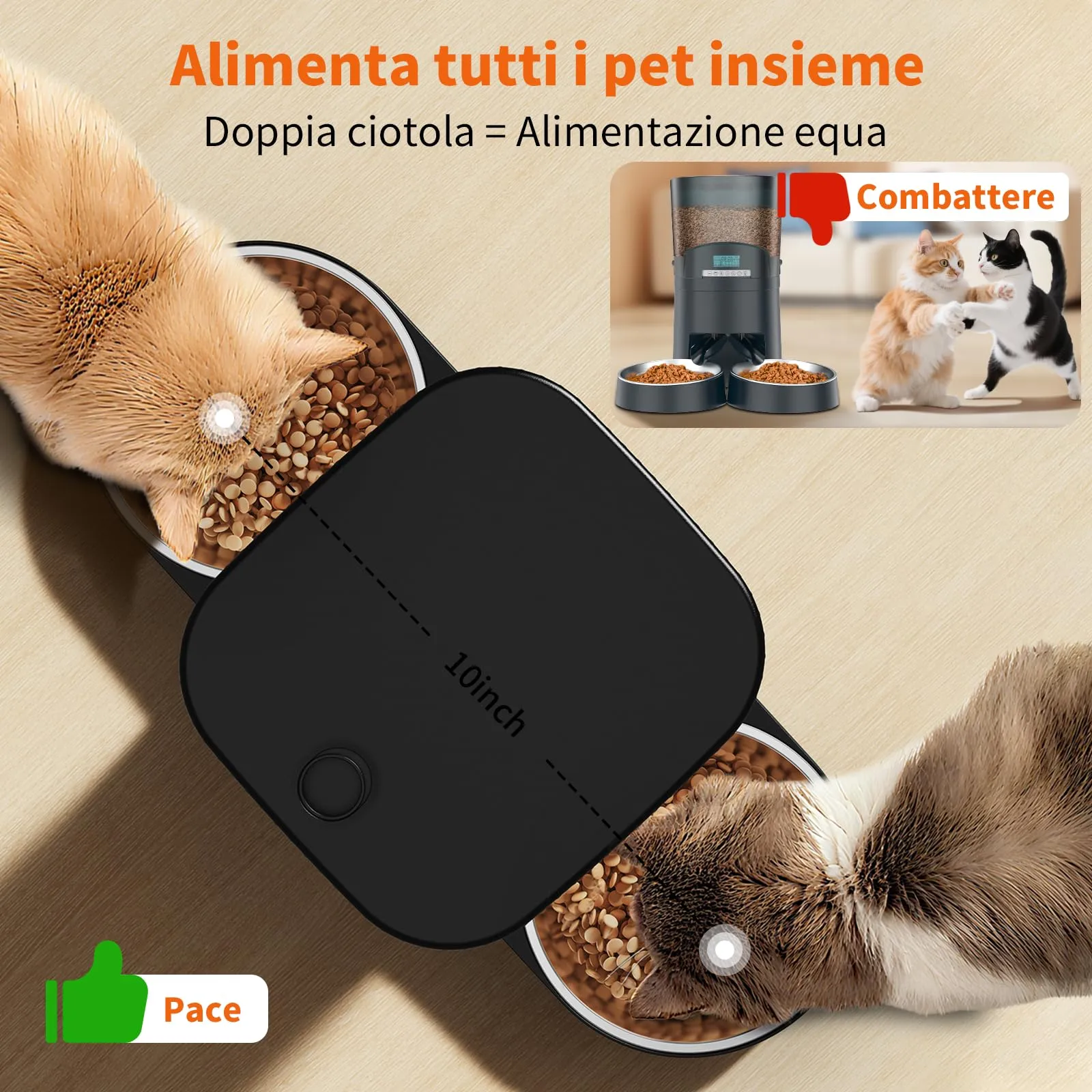 HoneyGuaridan Distributore Automatico Cibo Gatti 3.5L con Timer Programmabile, Nero, A25D - immagine 3