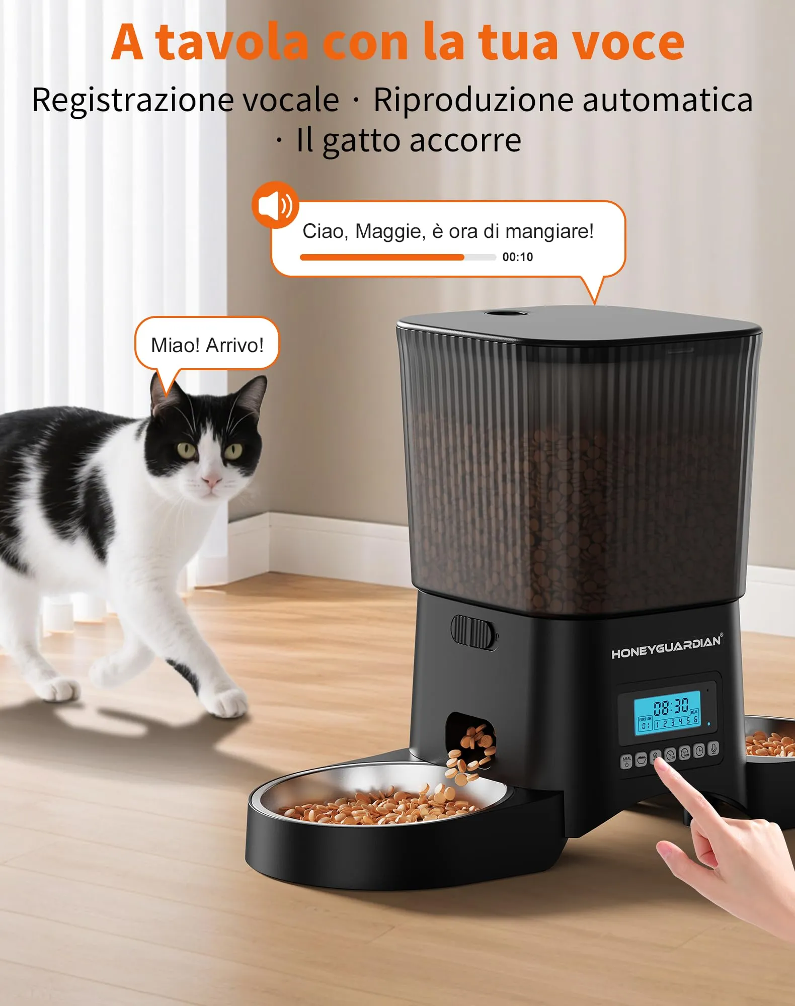 HoneyGuaridan Distributore Automatico Cibo Gatti 3.5L con Timer Programmabile, Nero, A25D - immagine 5