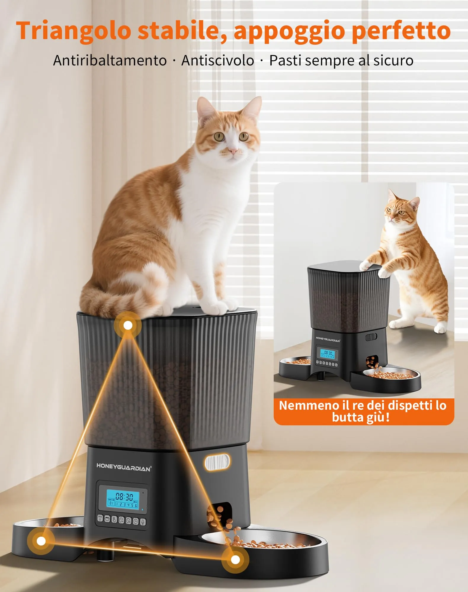 HoneyGuaridan Distributore Automatico Cibo Gatti 3.5L con Timer Programmabile, Nero, A25D - immagine 7