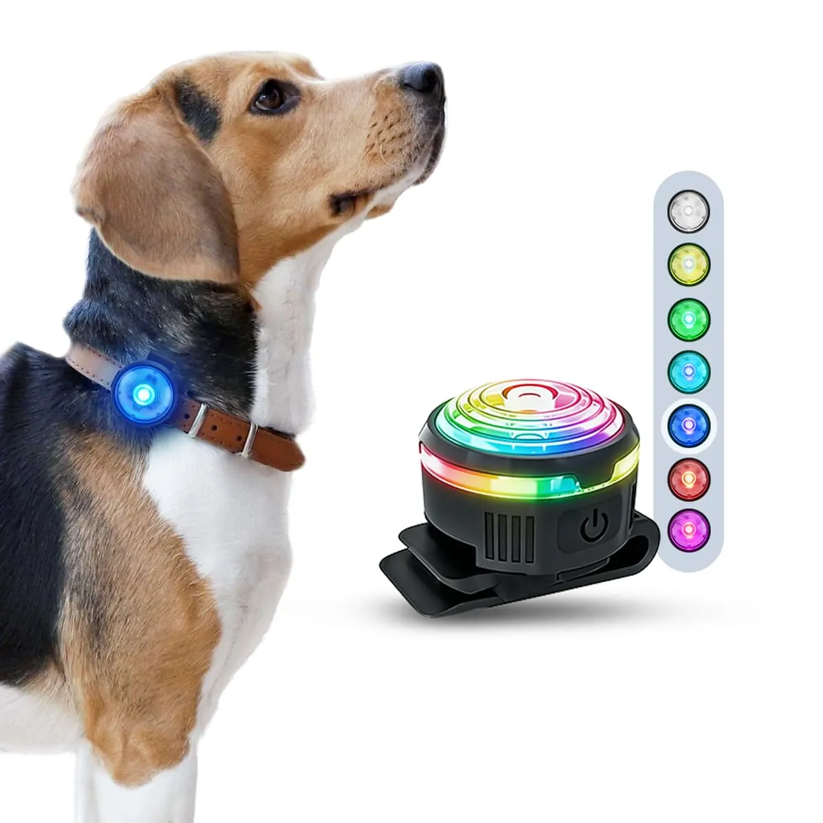 PAJ GPS Luce LED per Cani, Adatta a Collari e Pettorine - immagine 1