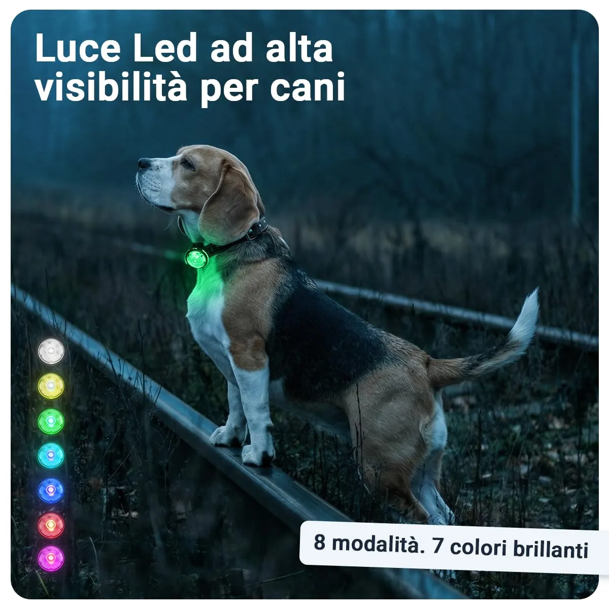 PAJ GPS Luce LED per Cani, Adatta a Collari e Pettorine - immagine 2