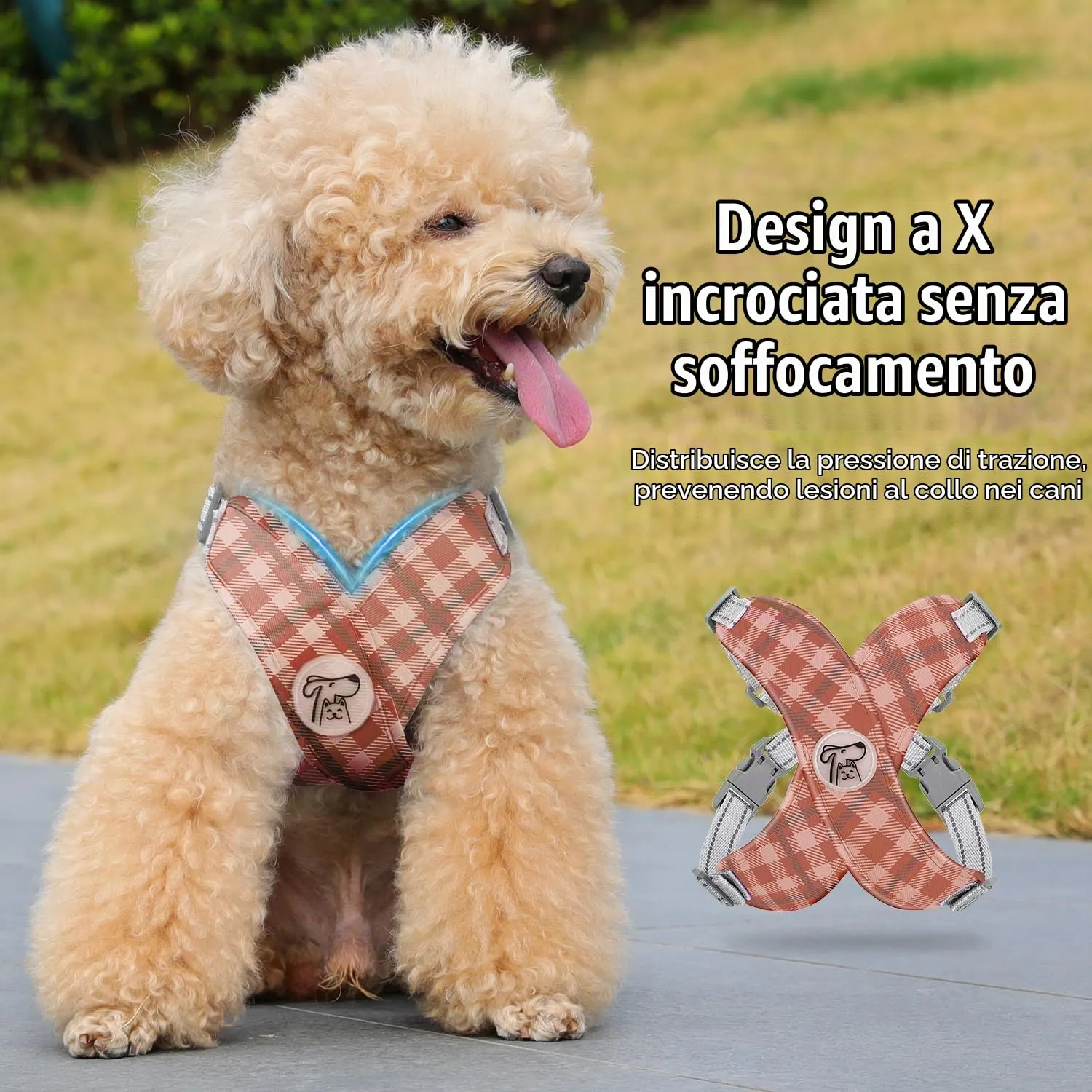 Pawaboo Set di Pettorina e Guinzaglio per Cani di Taglia Piccola, Cachi Plaid - immagine 3
