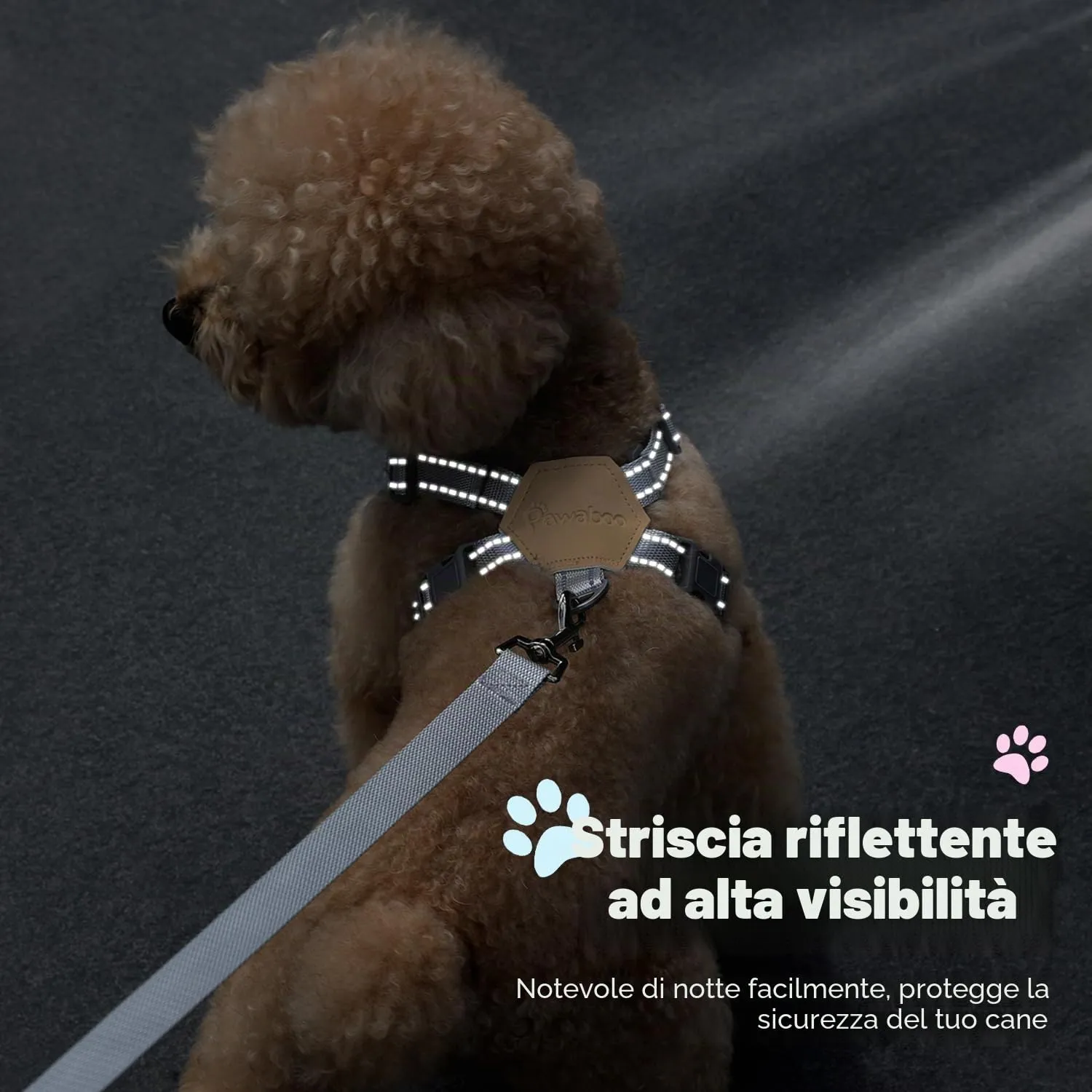 Pawaboo Set di Pettorina e Guinzaglio per Cani di Taglia Piccola, Cachi Plaid - immagine 7