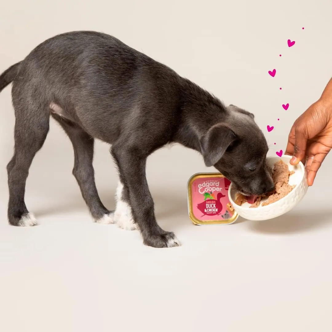 Edgard & Cooper Cibo Umido per Cuccioli, Anatra e Pollo, 150g x 11 - immagine 2