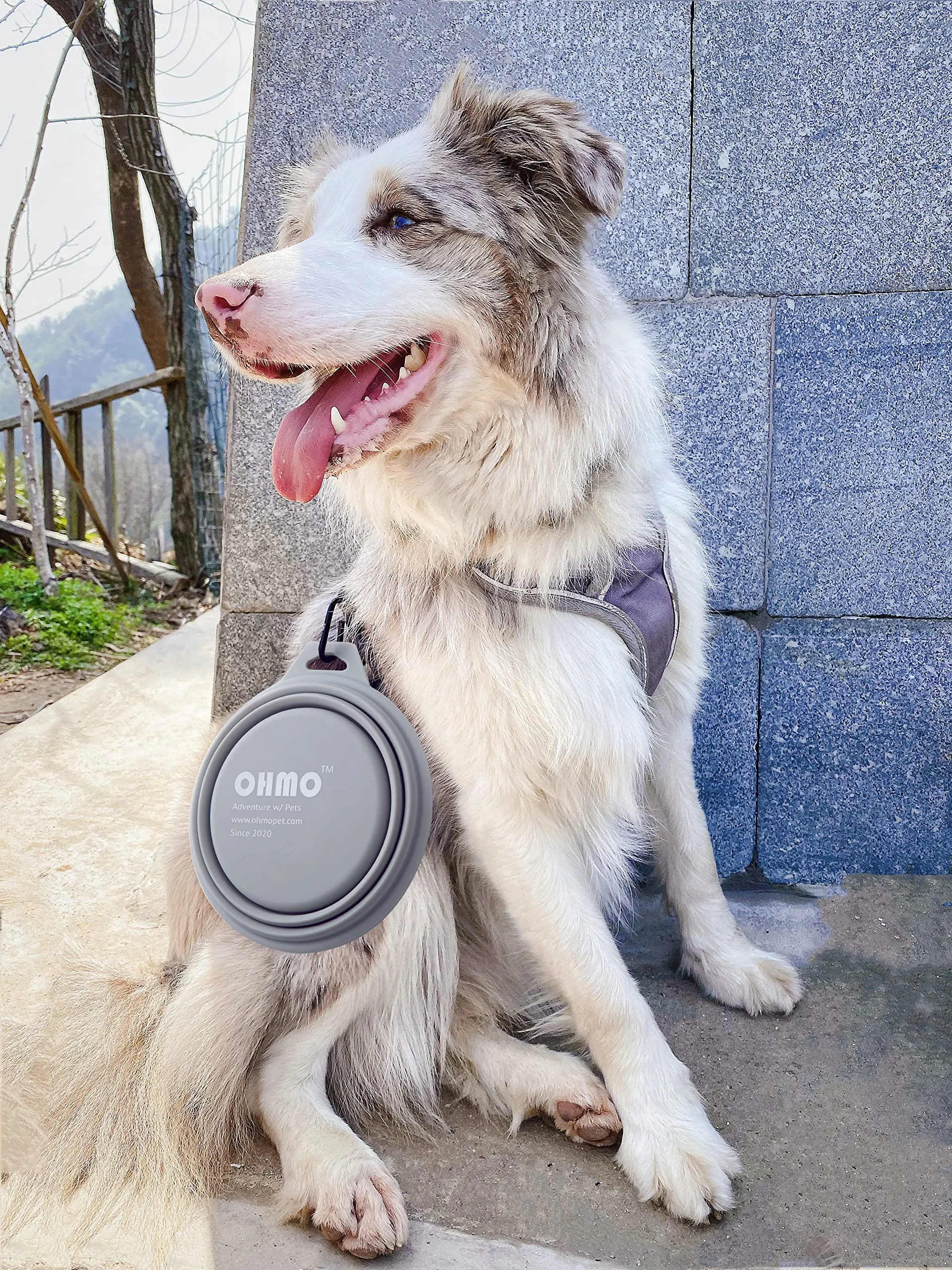 OHMO Ciotola Pieghevole per Cani Portatile da Viaggio con Moschettone, 800ml, Cenere - immagine 7