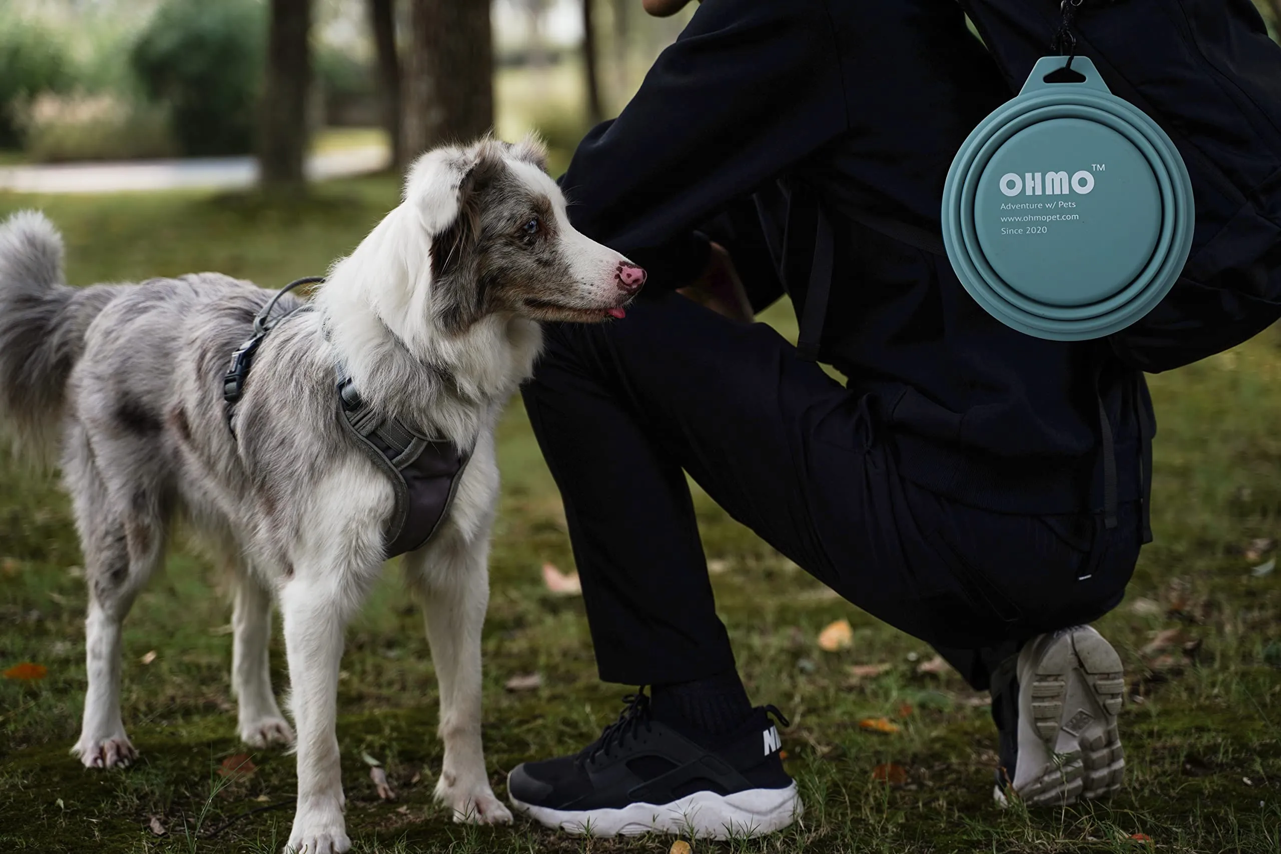 OHMO Ciotola Pieghevole per Cani Portatile da Viaggio con Moschettone, 800ml, Azzurro - immagine 7
