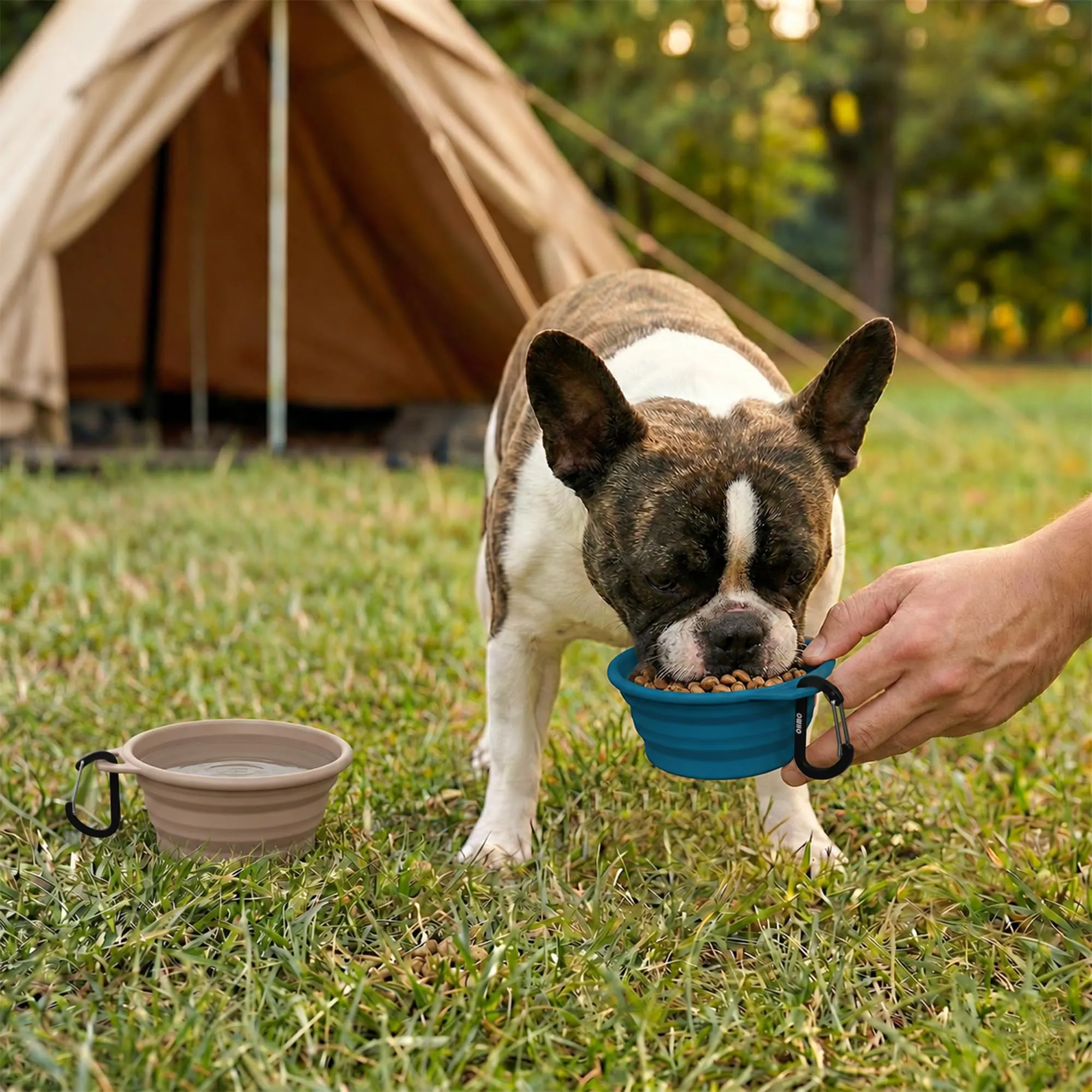 OHMO Ciotole portatili in silicone per cani e gatti, set di 2, 400 ml, blu e beige - immagine 8