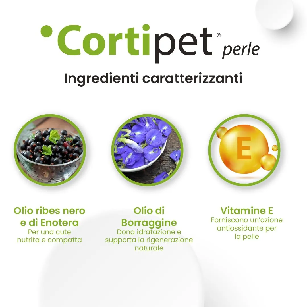 Aurora Biofarma Cortipet Maxi, Complementary Food for Skin and Coat of Dogs and Cats, 60 Pearls - immagine 5