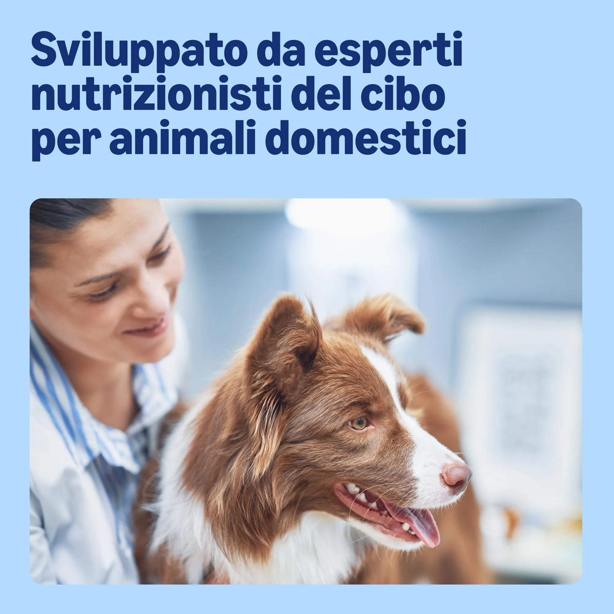 by Amazon Alimento completo per cani adulti Selezione di carne in gelatina, 4.8 kg, 48 Confezioni da 100g - immagine 4