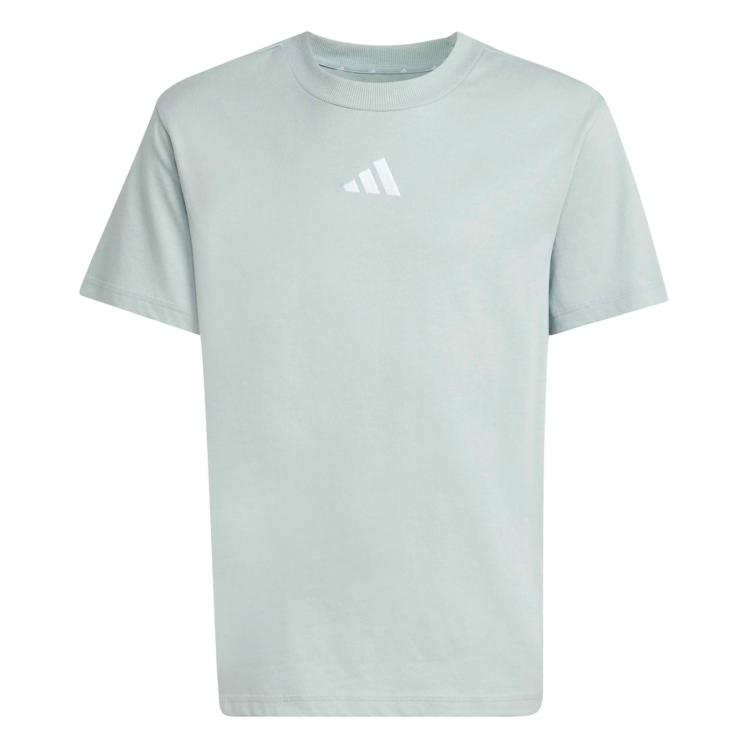 adidas Essentials T-Shirt, Wonder Sage/White, 13-14 Years - immagine 1