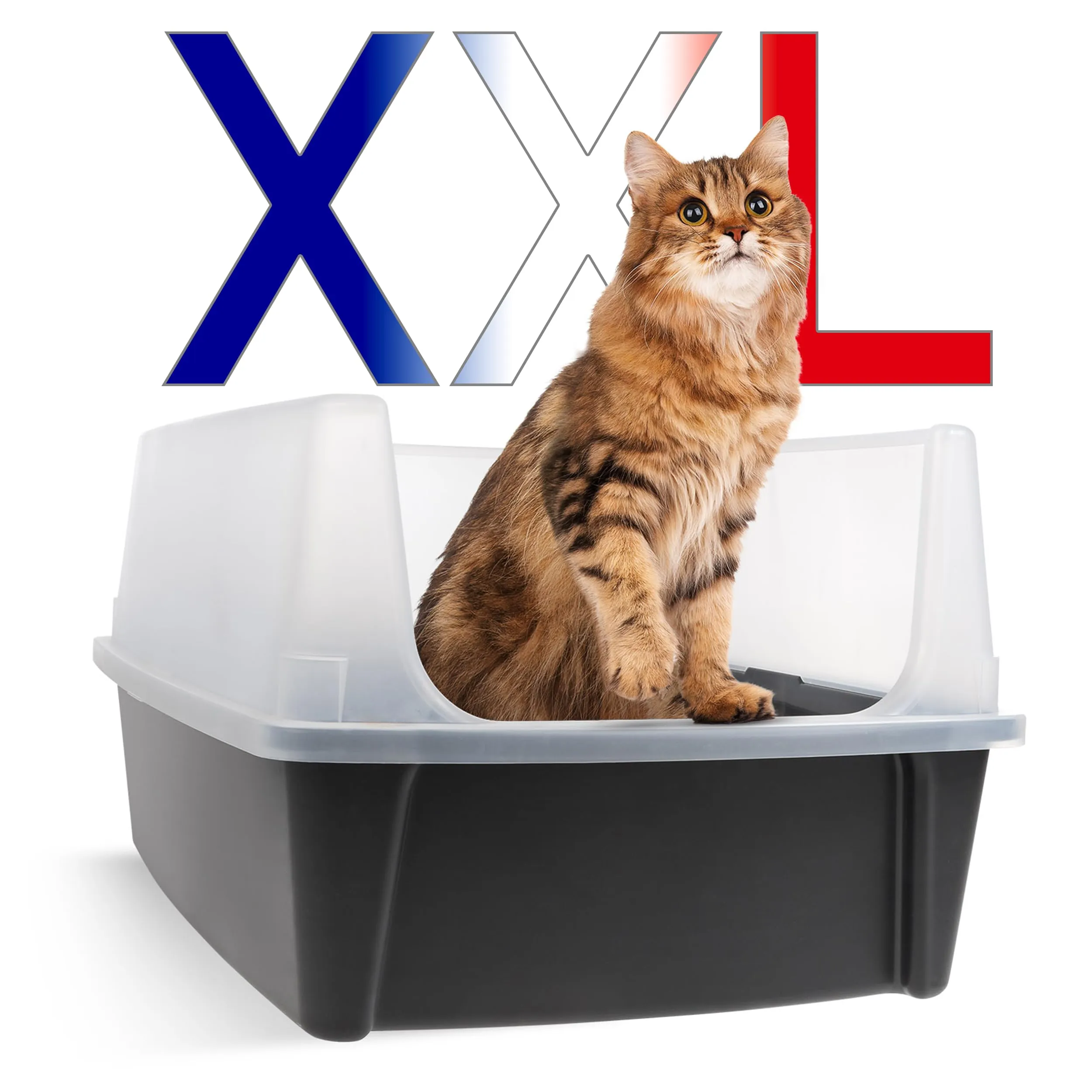 Iris Ohyama Lettiera per gatti XL, Grigia, con lati alti rimovibili - immagine 1