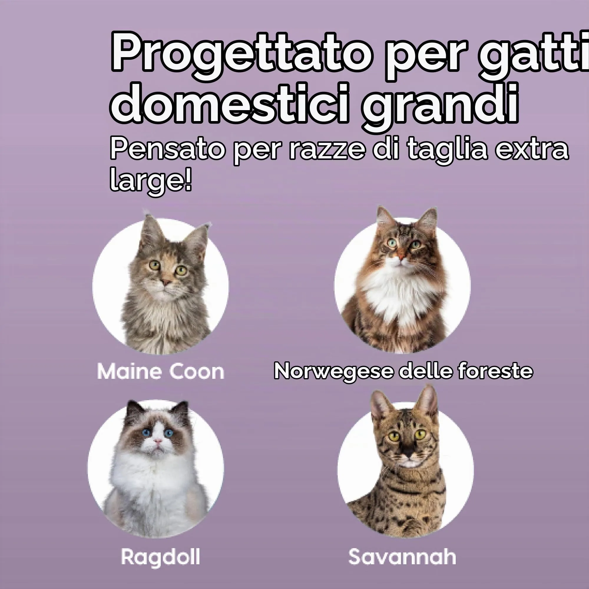 Iris Ohyama Lettiera per gatti XL, Grigia, con lati alti rimovibili - immagine 4