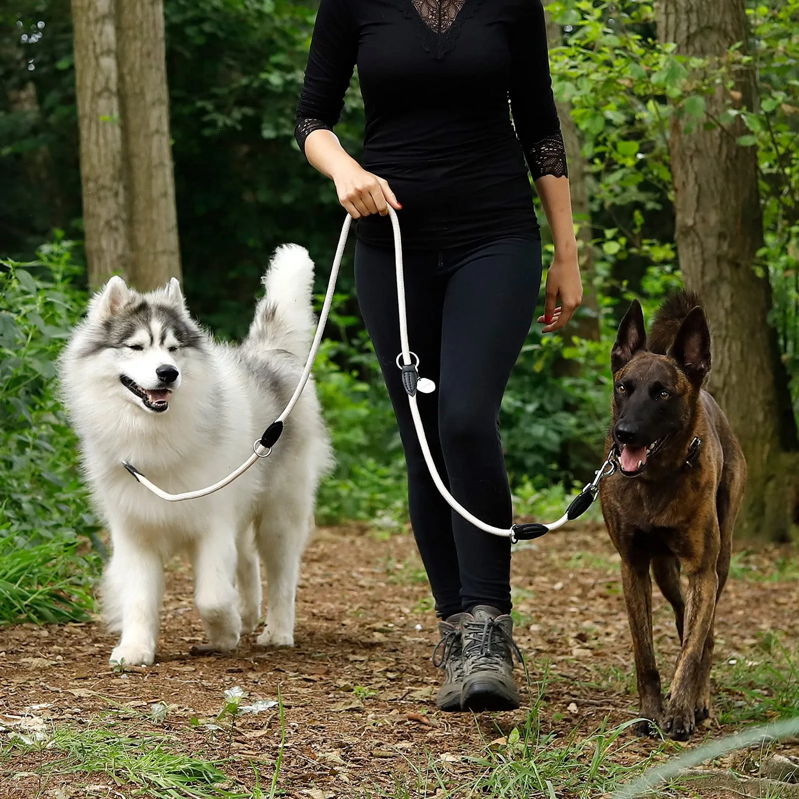 lionto Guinzaglio Cane Regolabile Multifunzionale, 200 cm, Beige - immagine 5
