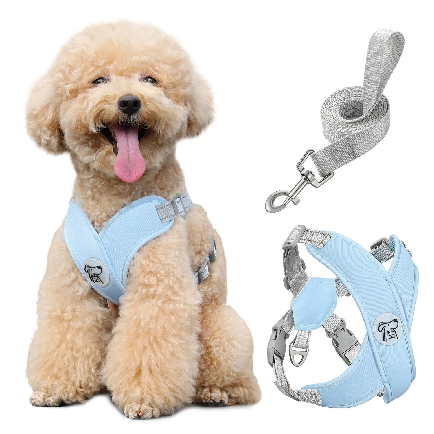 Pawaboo Set di Pettorina e Guinzaglio per Cani di Taglia Piccola, Blu - immagine 1