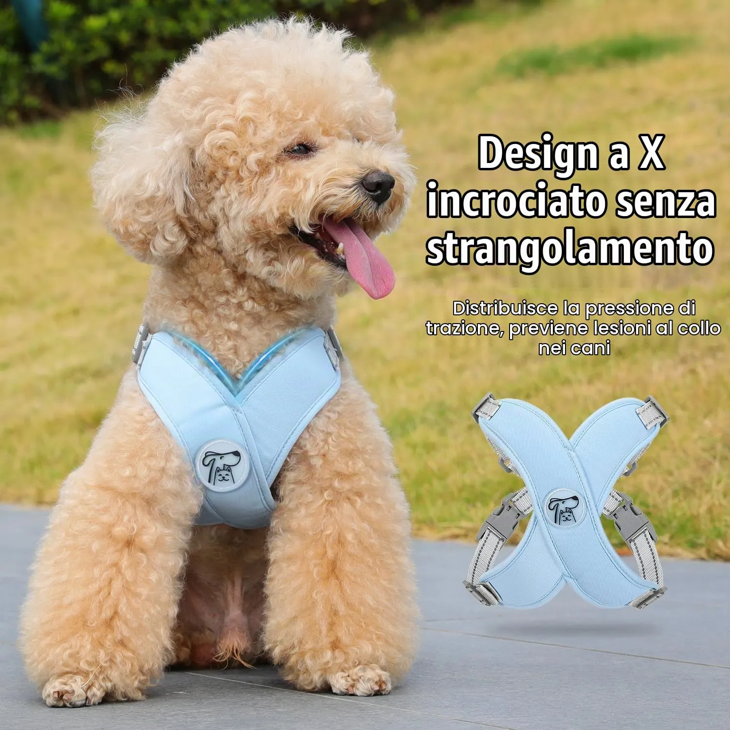 Pawaboo Set di Pettorina e Guinzaglio per Cani di Taglia Piccola, Blu - immagine 3
