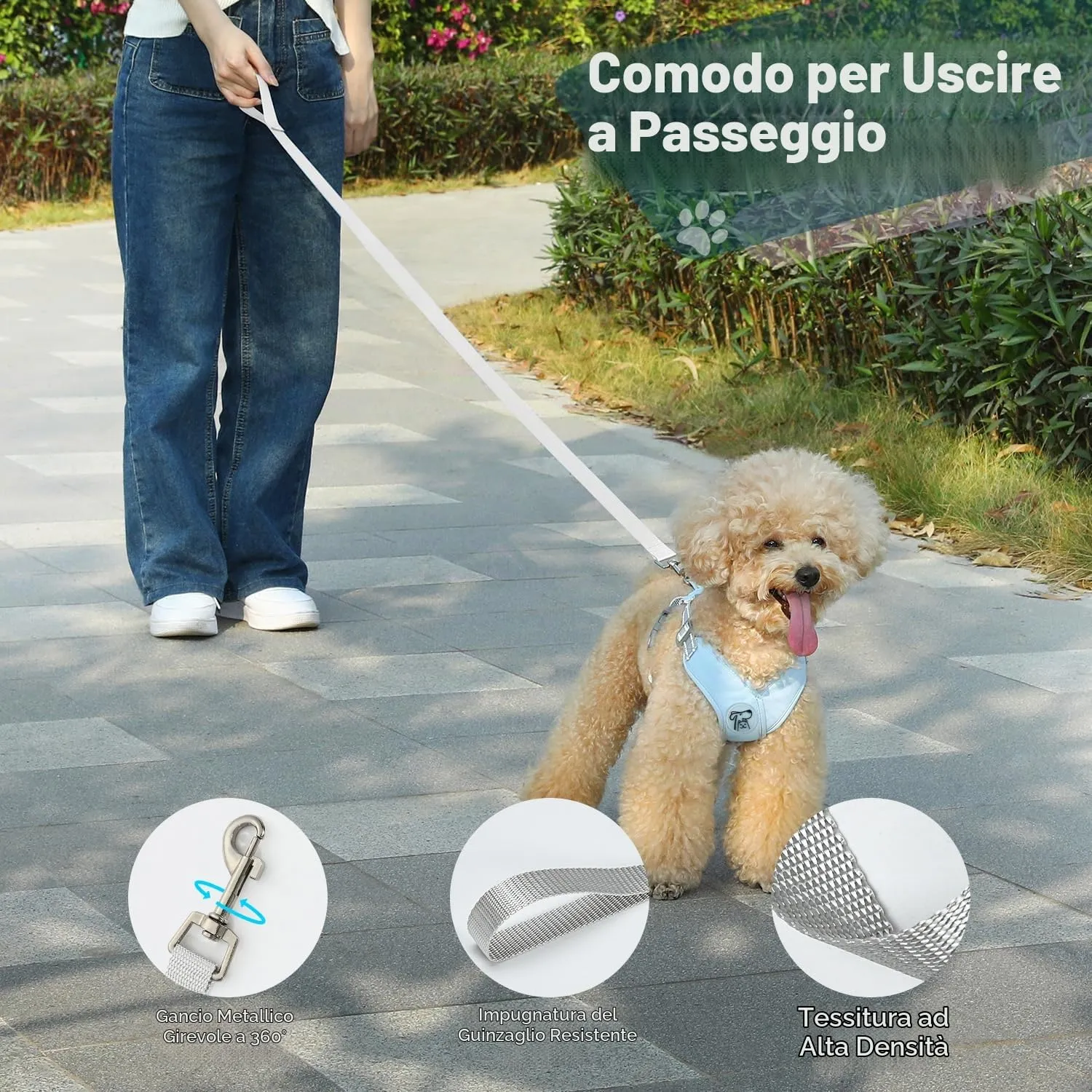 Pawaboo Set di Pettorina e Guinzaglio per Cani di Taglia Piccola, Blu - immagine 6
