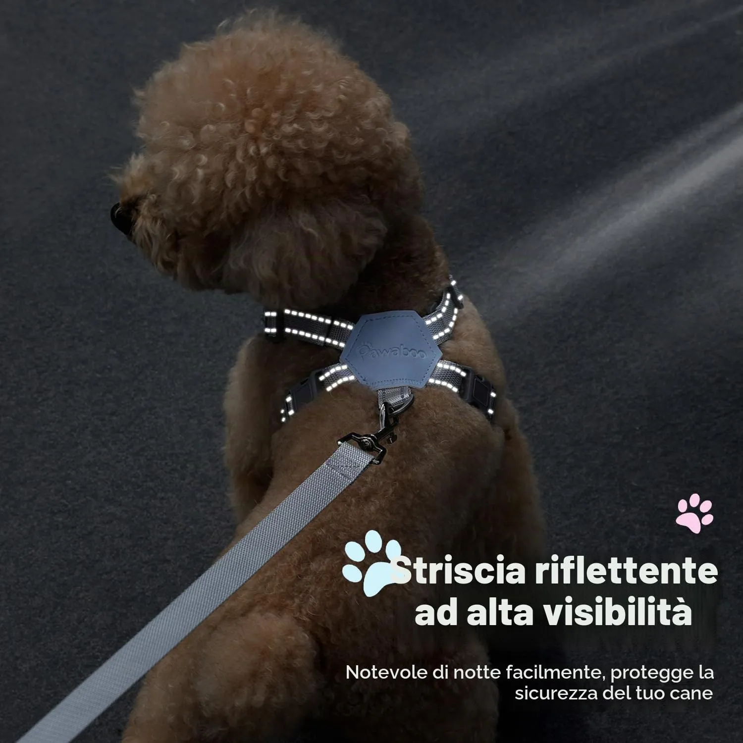 Pawaboo Set di Pettorina e Guinzaglio per Cani di Taglia Piccola, Blu - immagine 7
