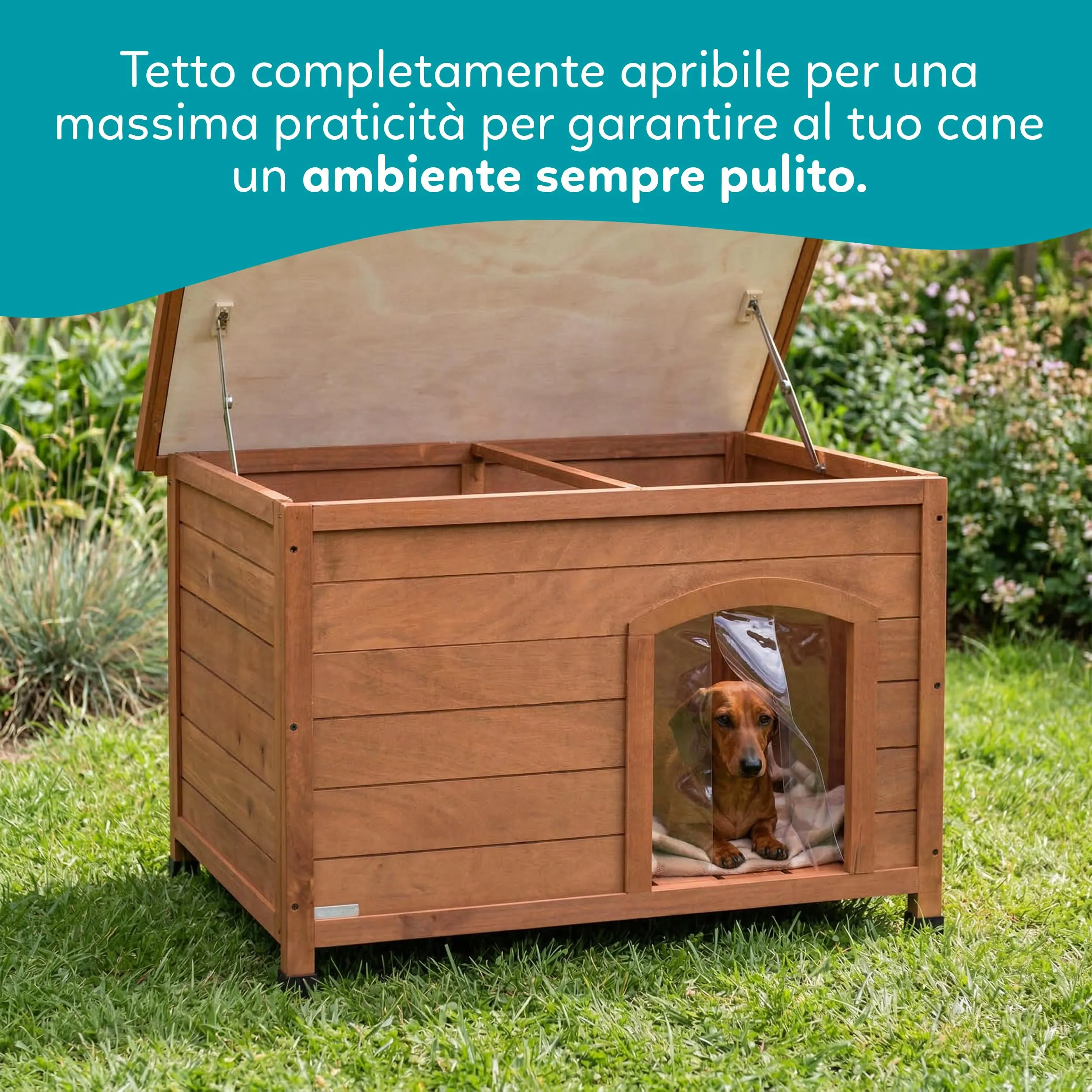 Aqpet Cuccia in Legno da Esterno per Cani con Tetto Apribile e Tende Termiche, Small 85x60x58h - immagine 6
