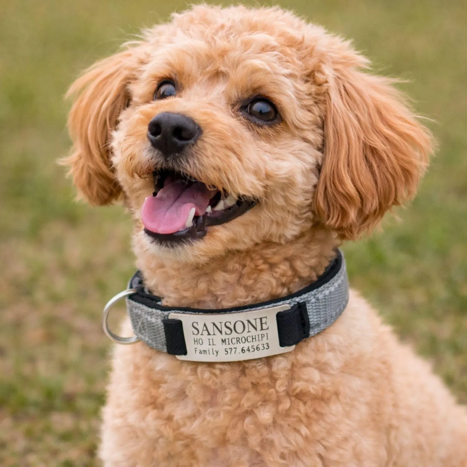 VENEZIANO Collare Cane Personalizzato con Targhetta in Metallo, Linee Catarifrangenti e Clip in ABS, Blue, M - immagine 5