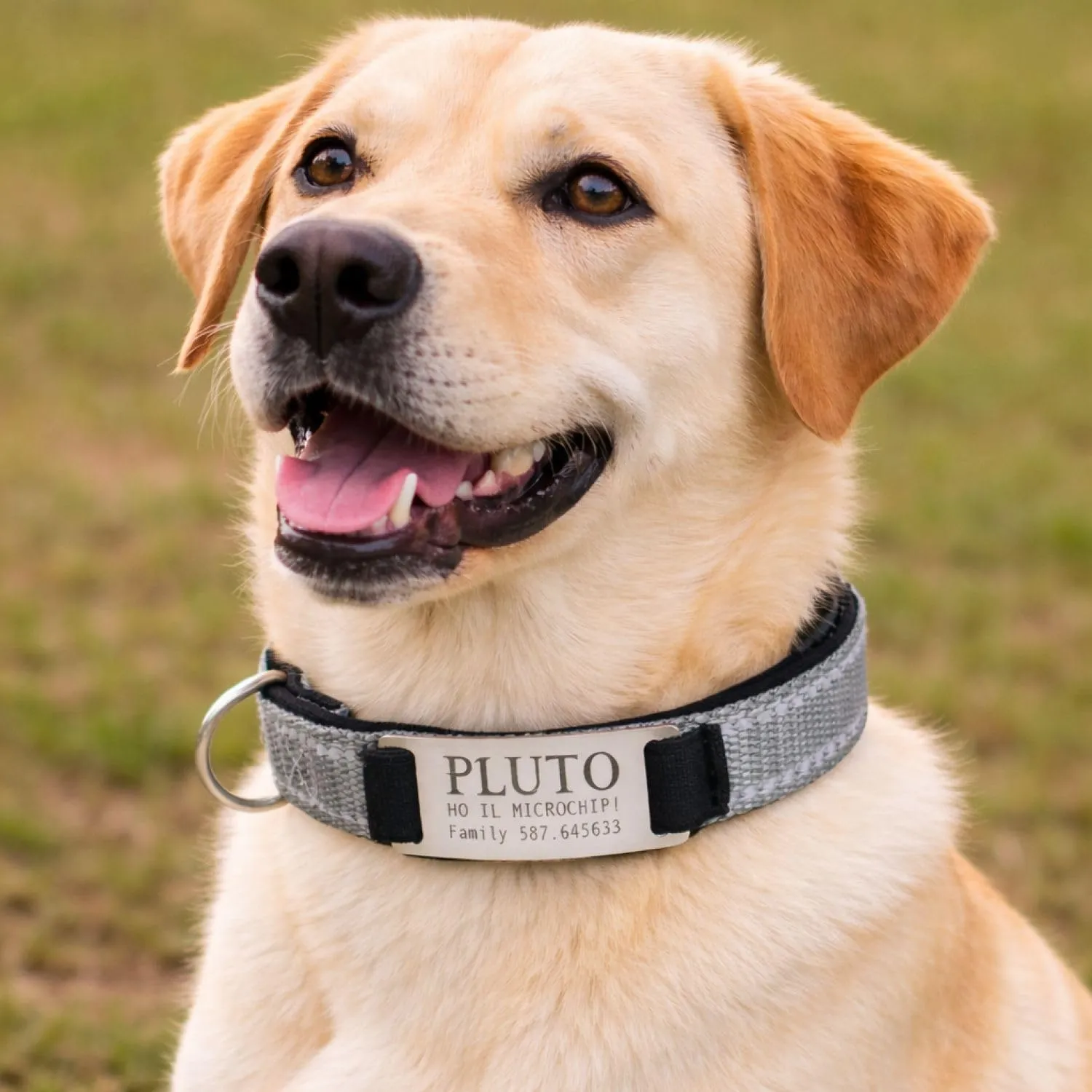 Veneziano Collare Cane Personalizzato con Targhetta in Metallo, Linee Catarifrangenti e Clip in ABS, Blue, S - immagine 4