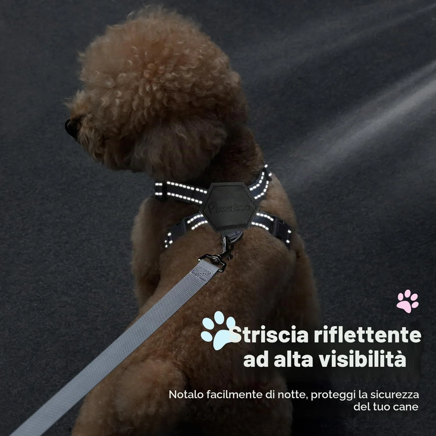 Pawaboo Set di pettorina e guinzaglio per cani di taglia piccola - immagine 7