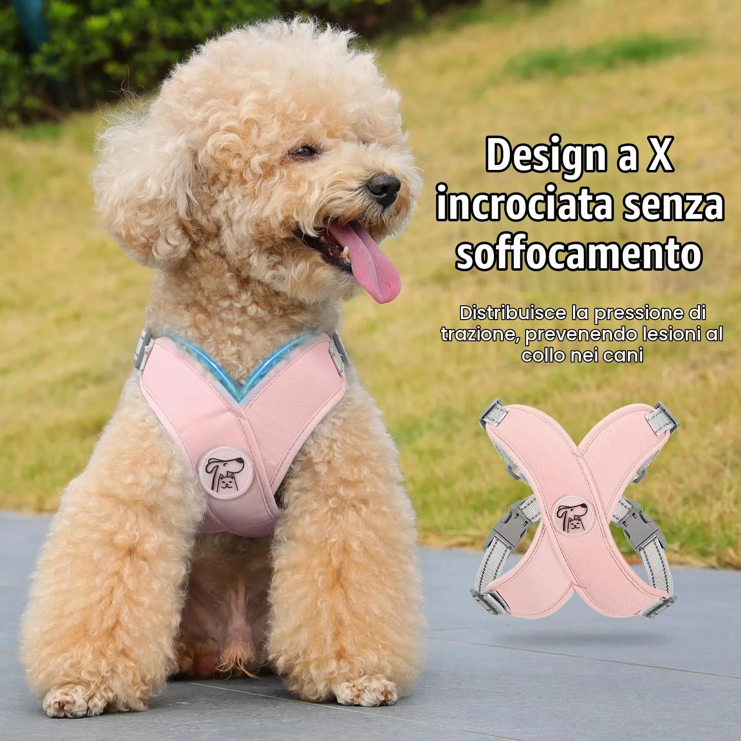 Pawaboo Set di pettorina e guinzaglio per cani di taglia piccola, Taglia M, Rosa - immagine 3