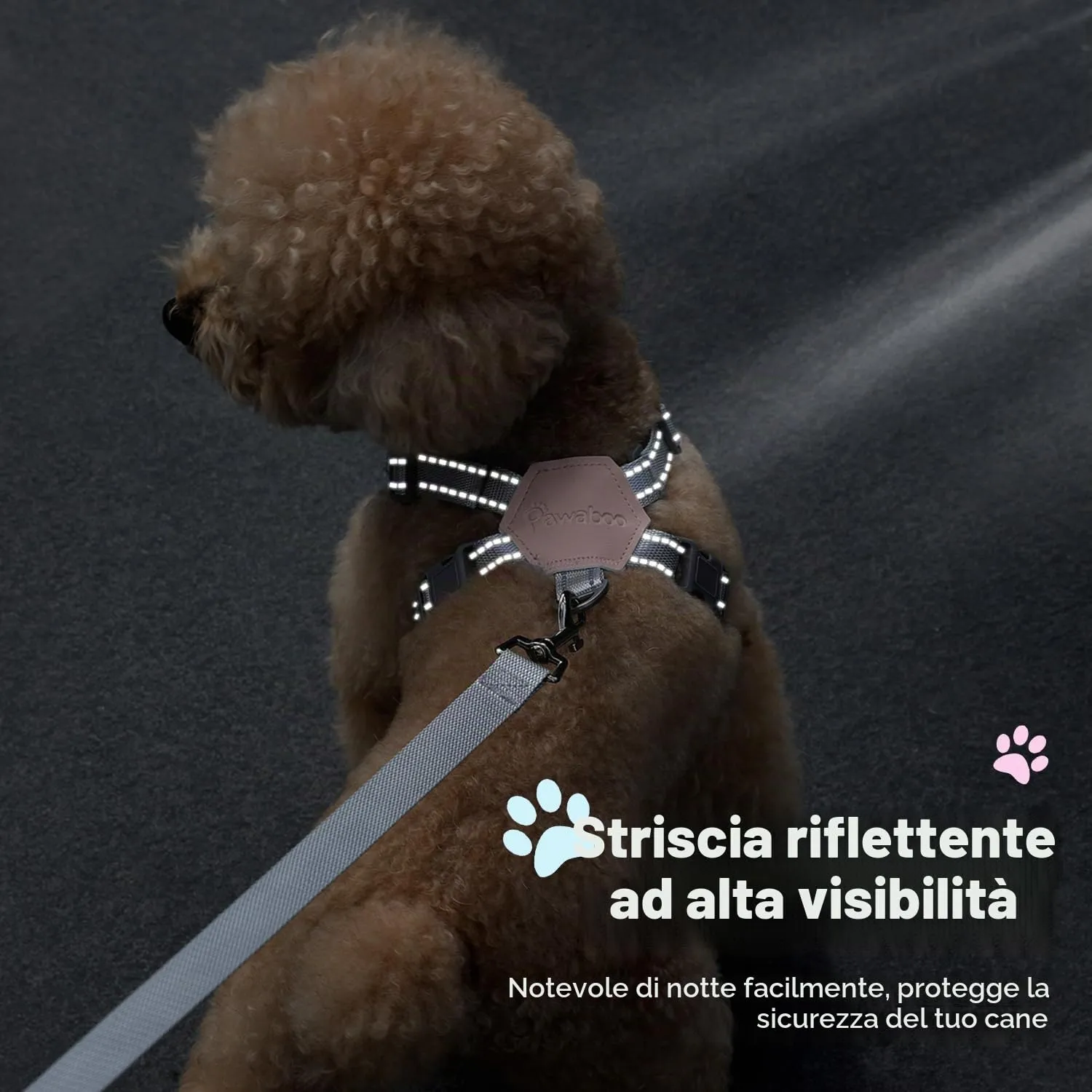 Pawaboo Set di pettorina e guinzaglio per cani di taglia piccola, Taglia M, Rosa - immagine 7
