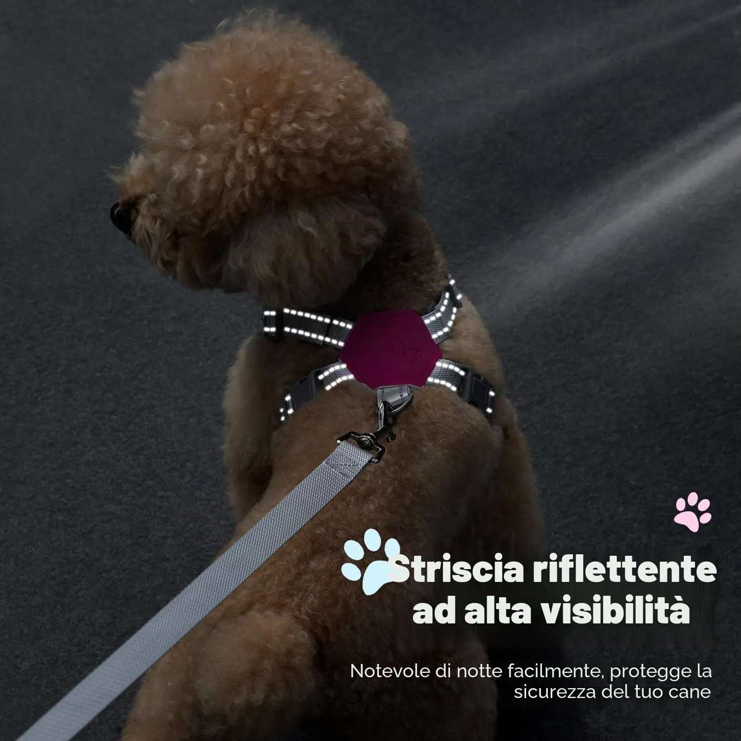 Pawaboo Set di Pettorina e Guinzaglio per Cani Traspirante Senza Tirare con Strisce Riflettenti, S, Magenta - immagine 7