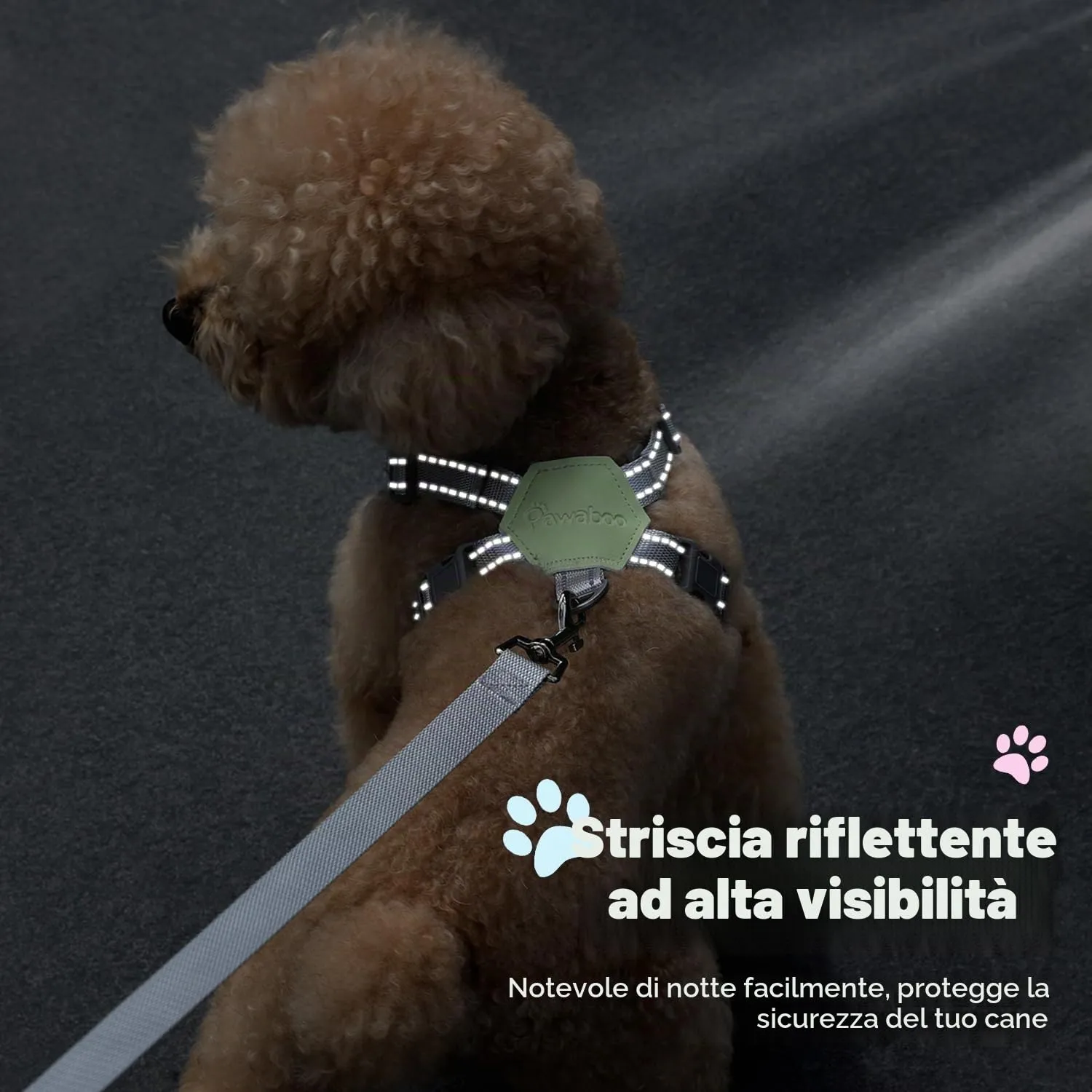 Pawaboo Pettorina e Set di Guinzagli per Cani di Piccola e Media Taglia, Struttura a X, Taglia S - immagine 7