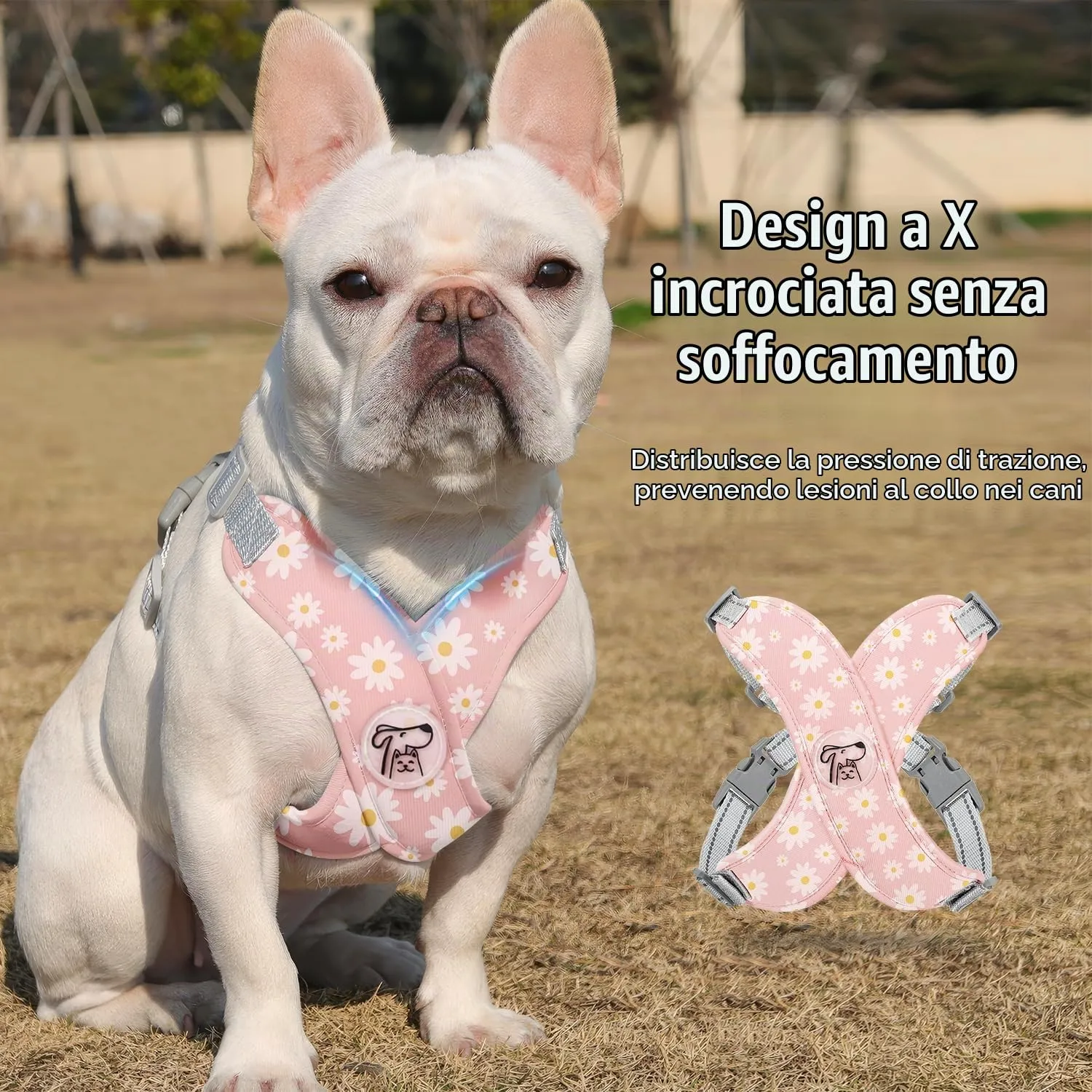 Pawaboo Imbracatura di Sicurezza per Cani con Guinzaglio, L, Margherita Rosa - immagine 3
