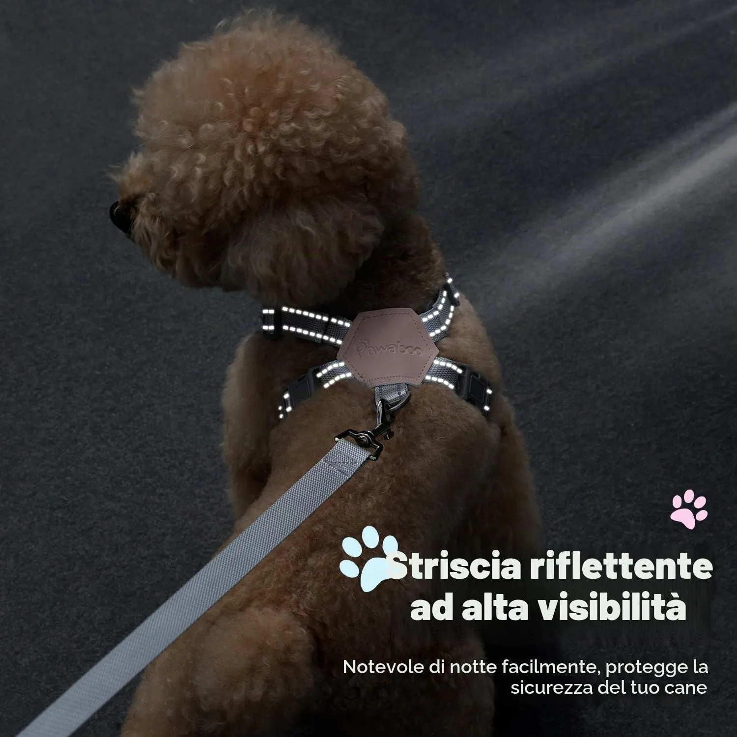 Pawaboo Imbracatura di Sicurezza per Cani con Guinzaglio, L, Margherita Rosa - immagine 7