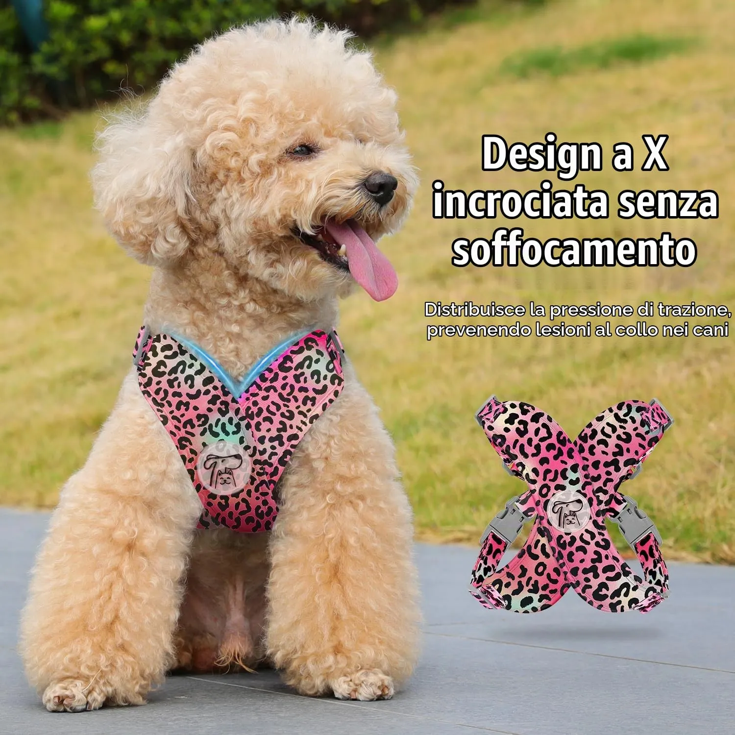 Pawaboo Set di Pettorina e Guinzaglio per Cani, Taglia XS, Leopardo Magenta - immagine 3