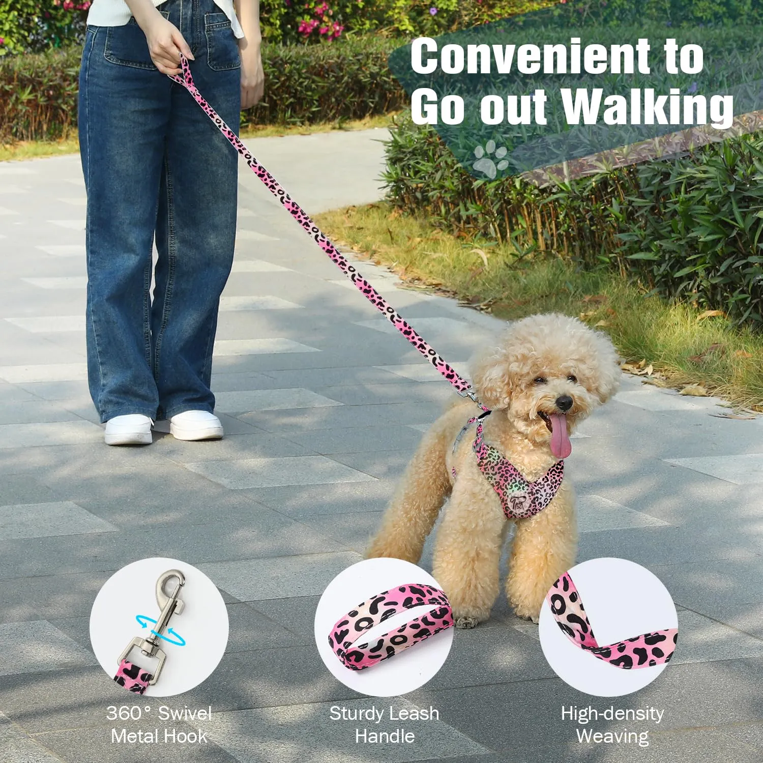 Pawaboo Set di Pettorina e Guinzaglio per Cani, Taglia XS, Leopardo Magenta - immagine 6
