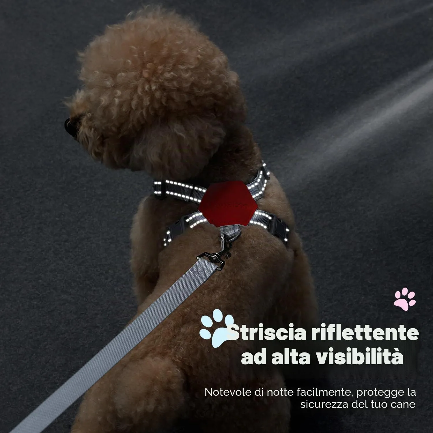 Pawaboo Set di Pettorina e Guinzaglio per Cani di Taglia Piccola e Media, Rosa Plaid, Taglia M - immagine 7